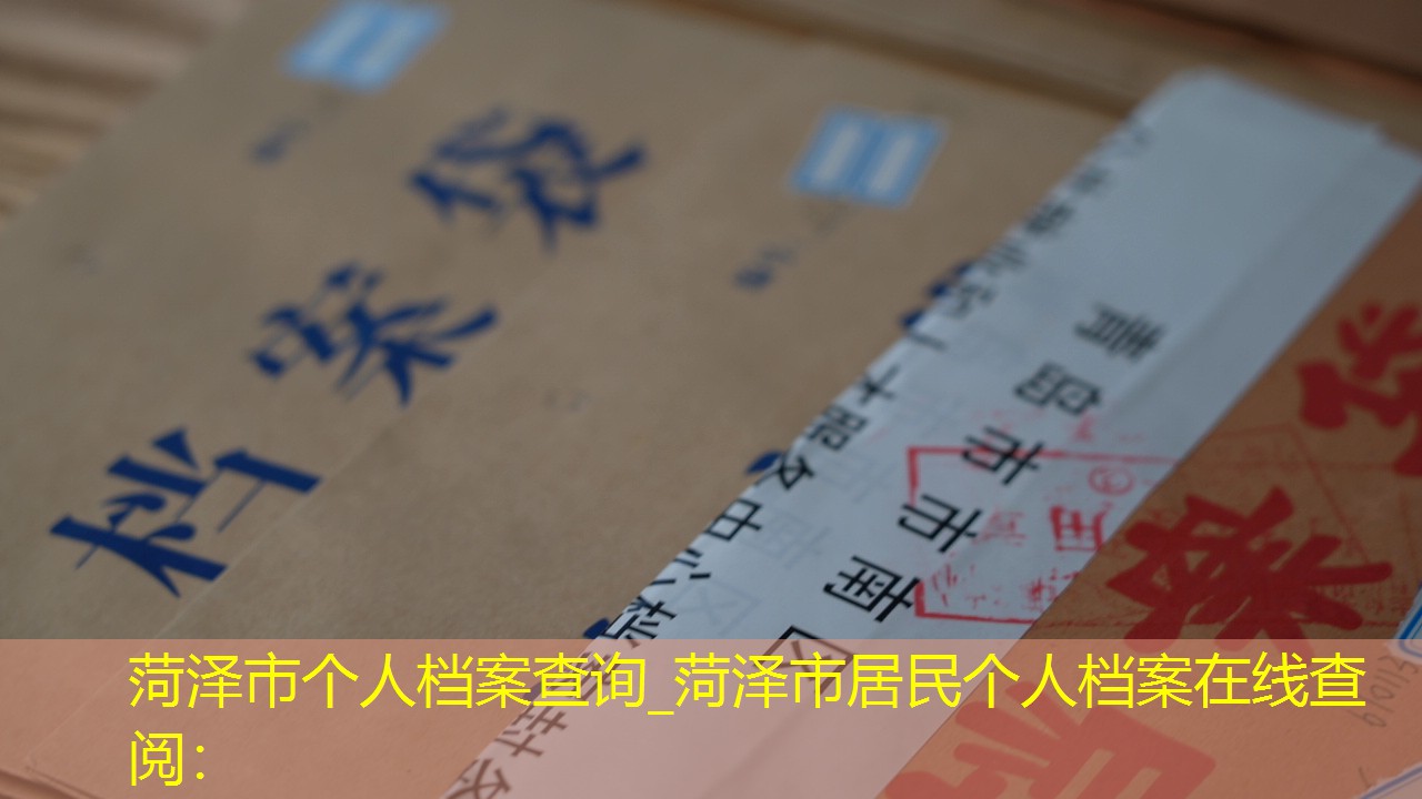 档案查询