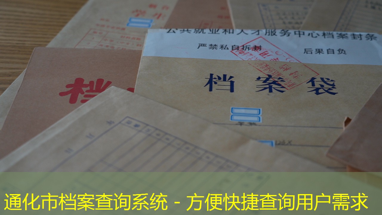 档案查询