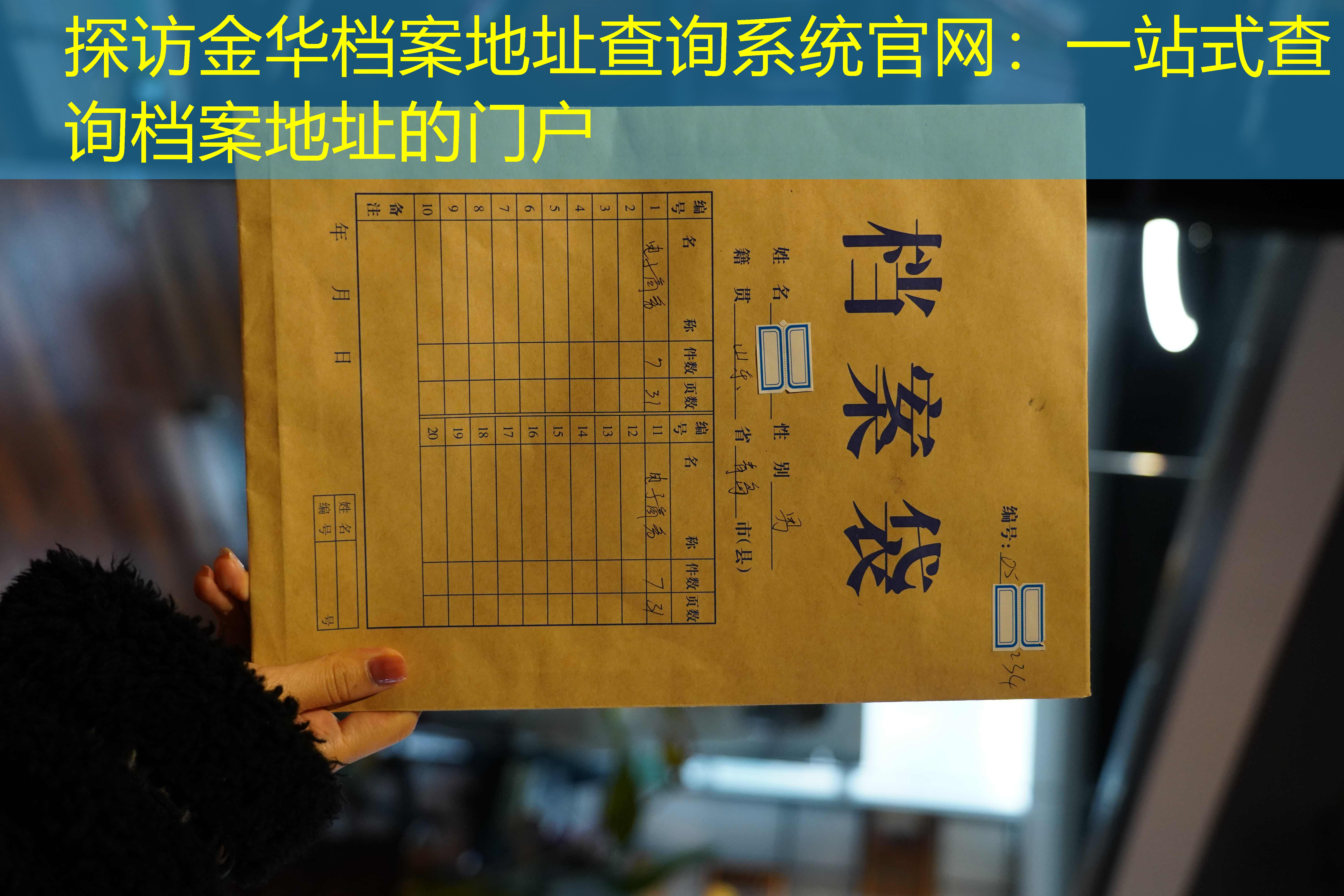 档案查询