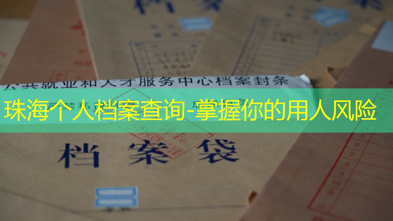 档案查询