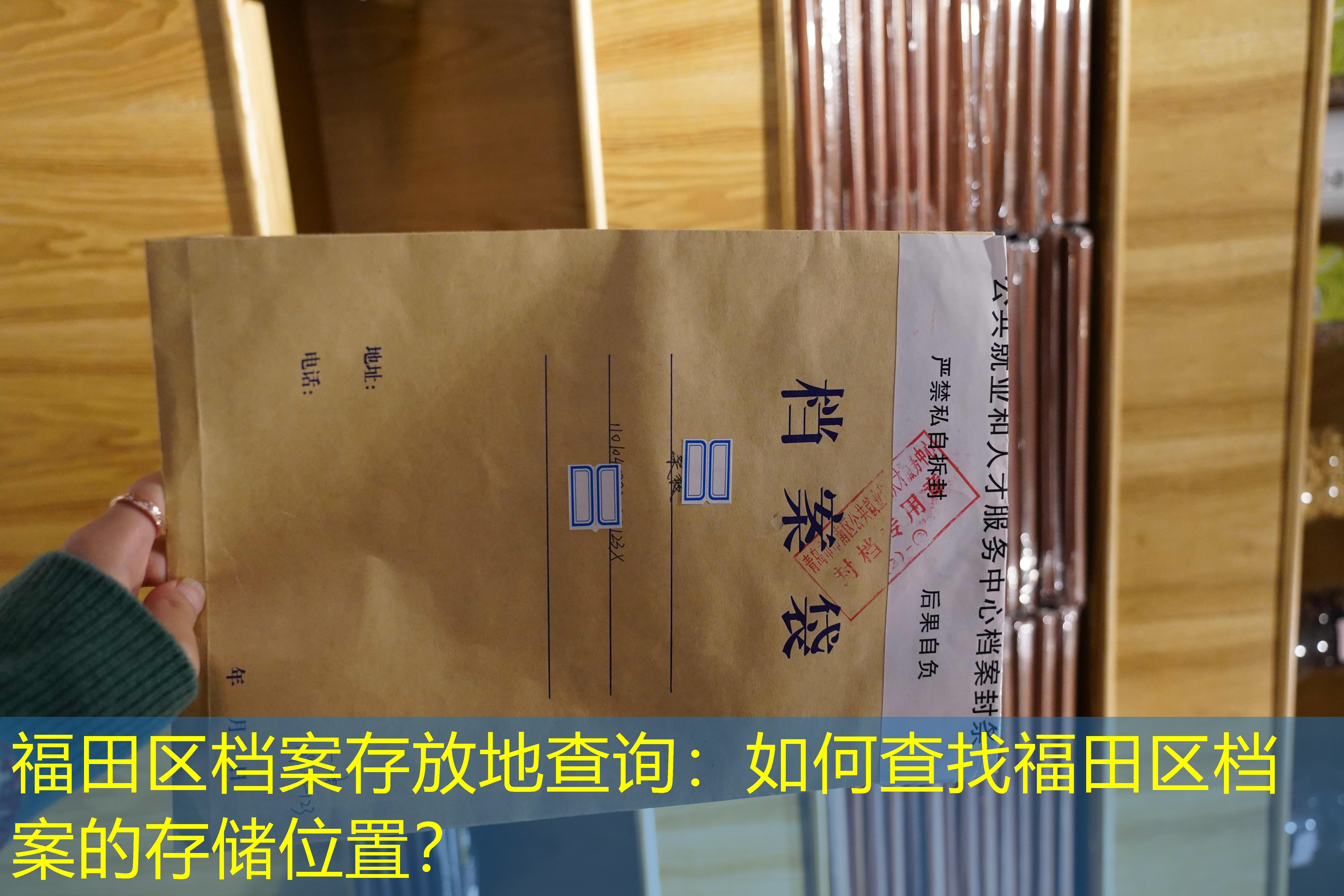 档案查询