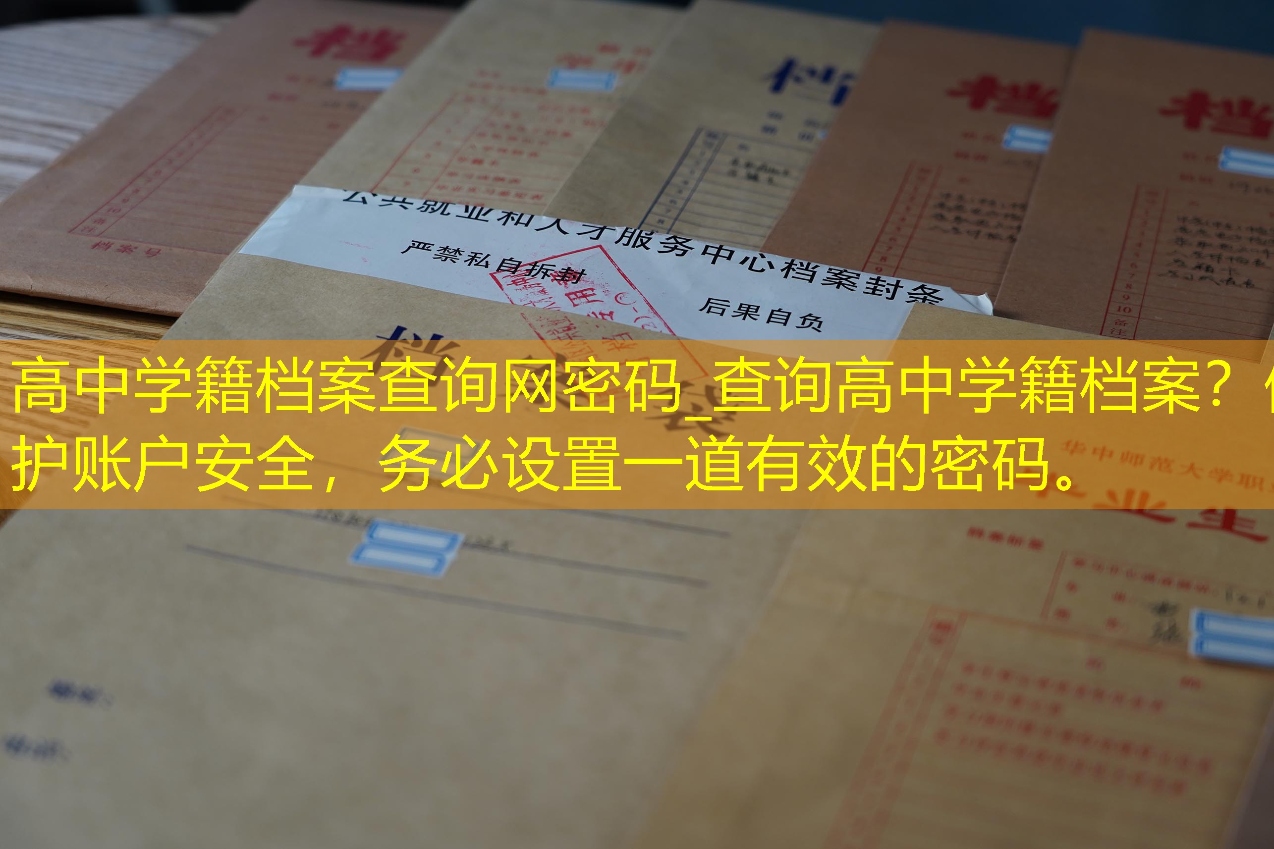 档案查询