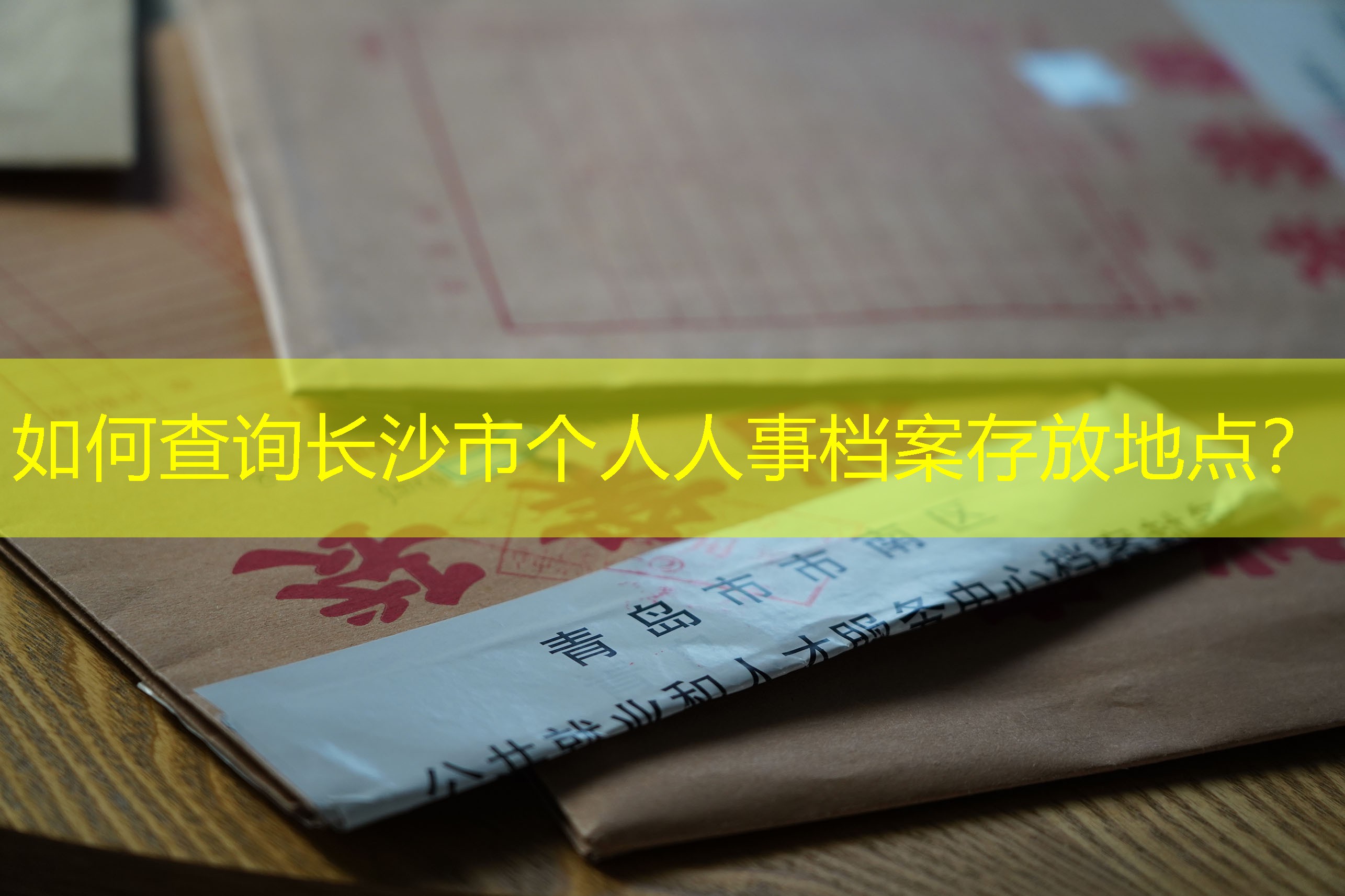 档案查询