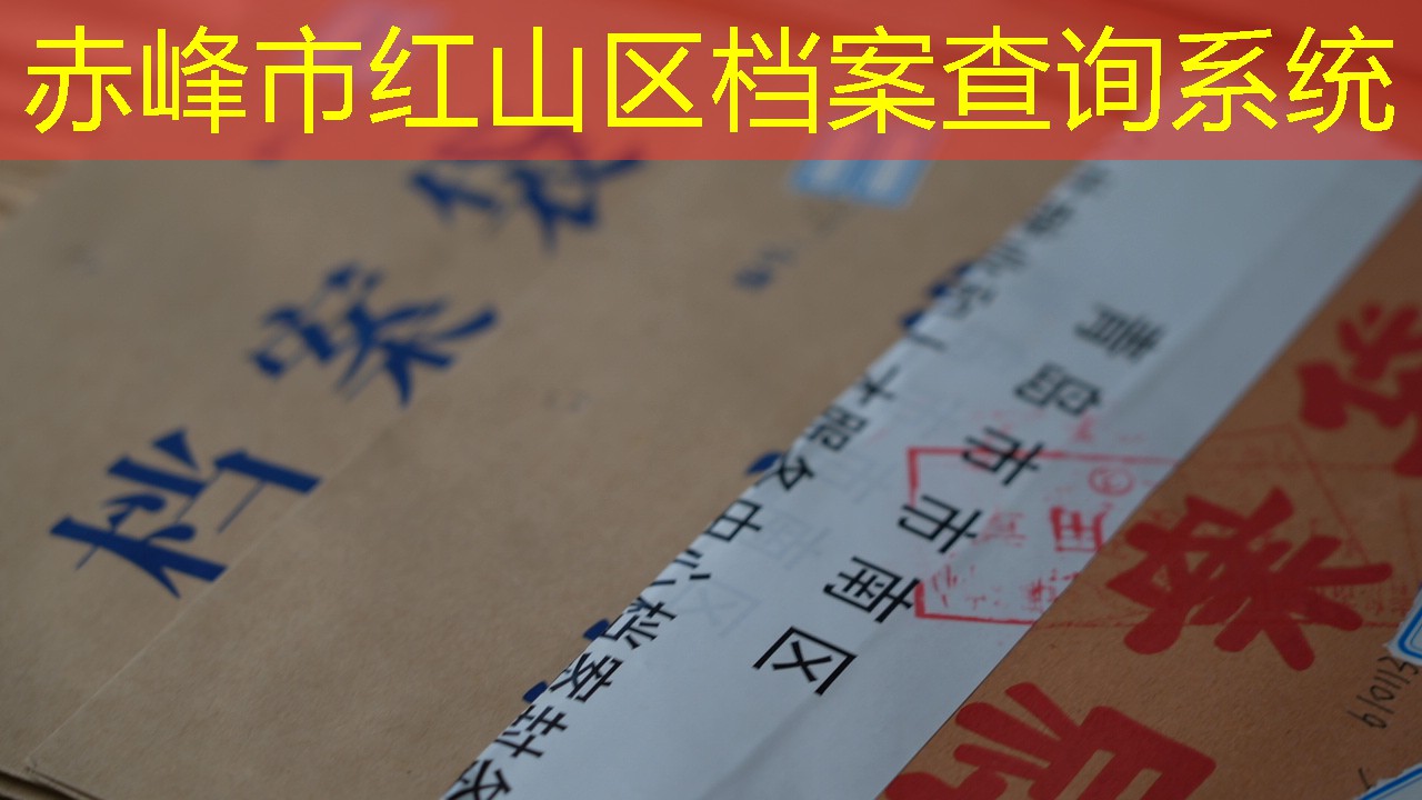 档案查询