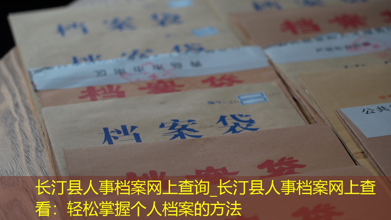 档案查询