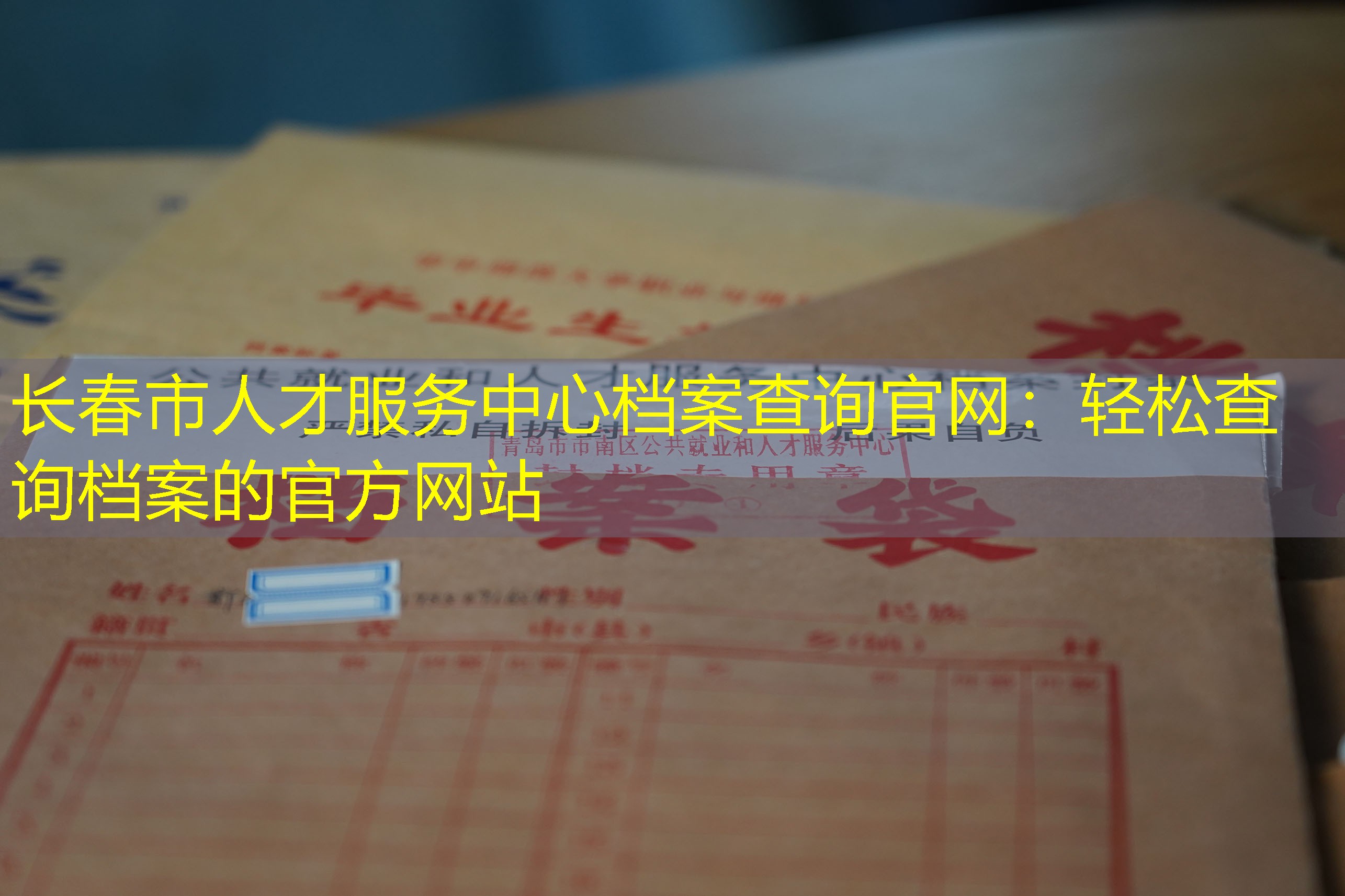 档案查询