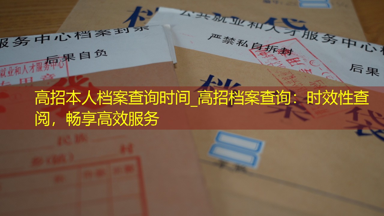 档案查询