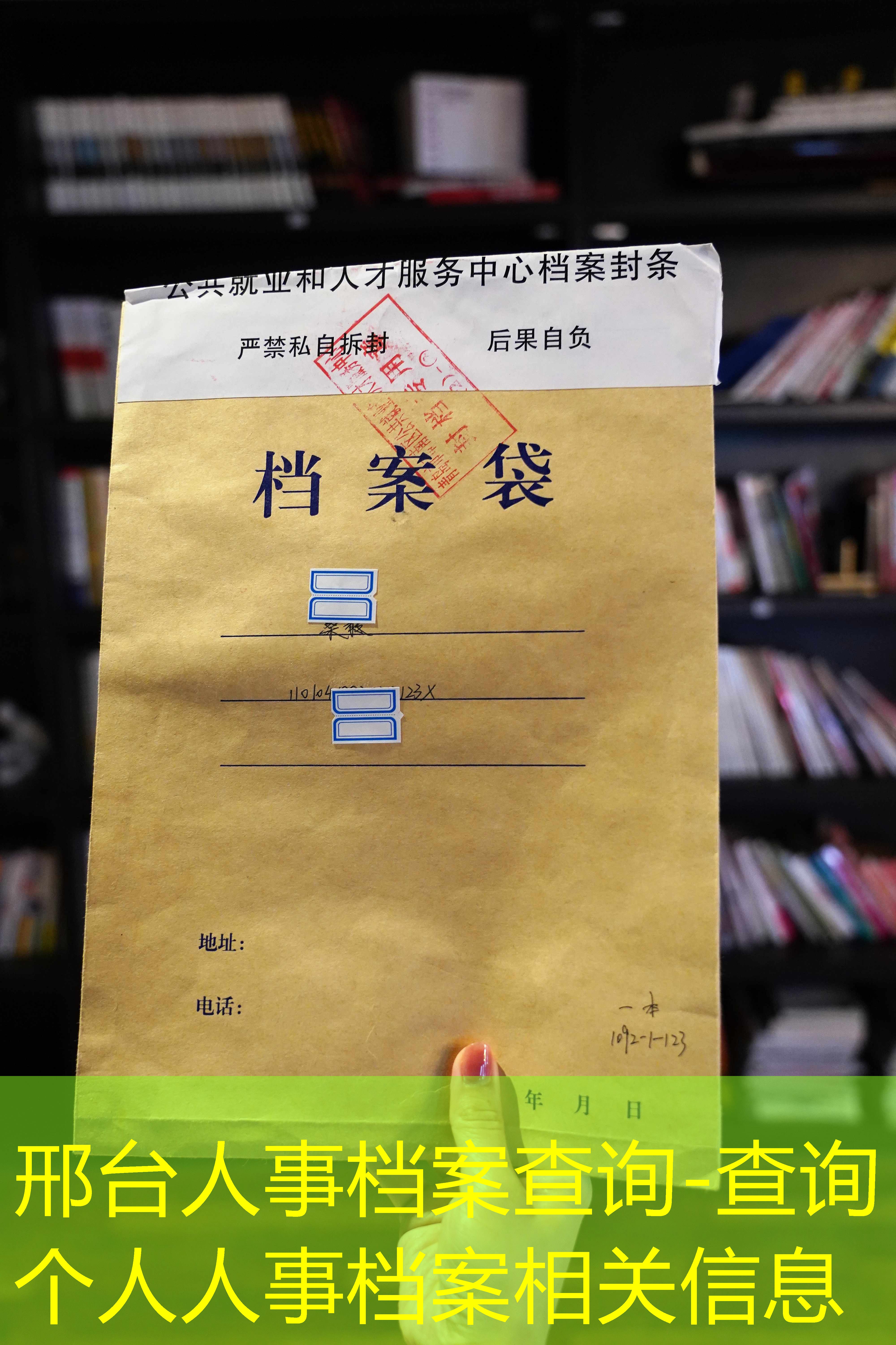 档案查询