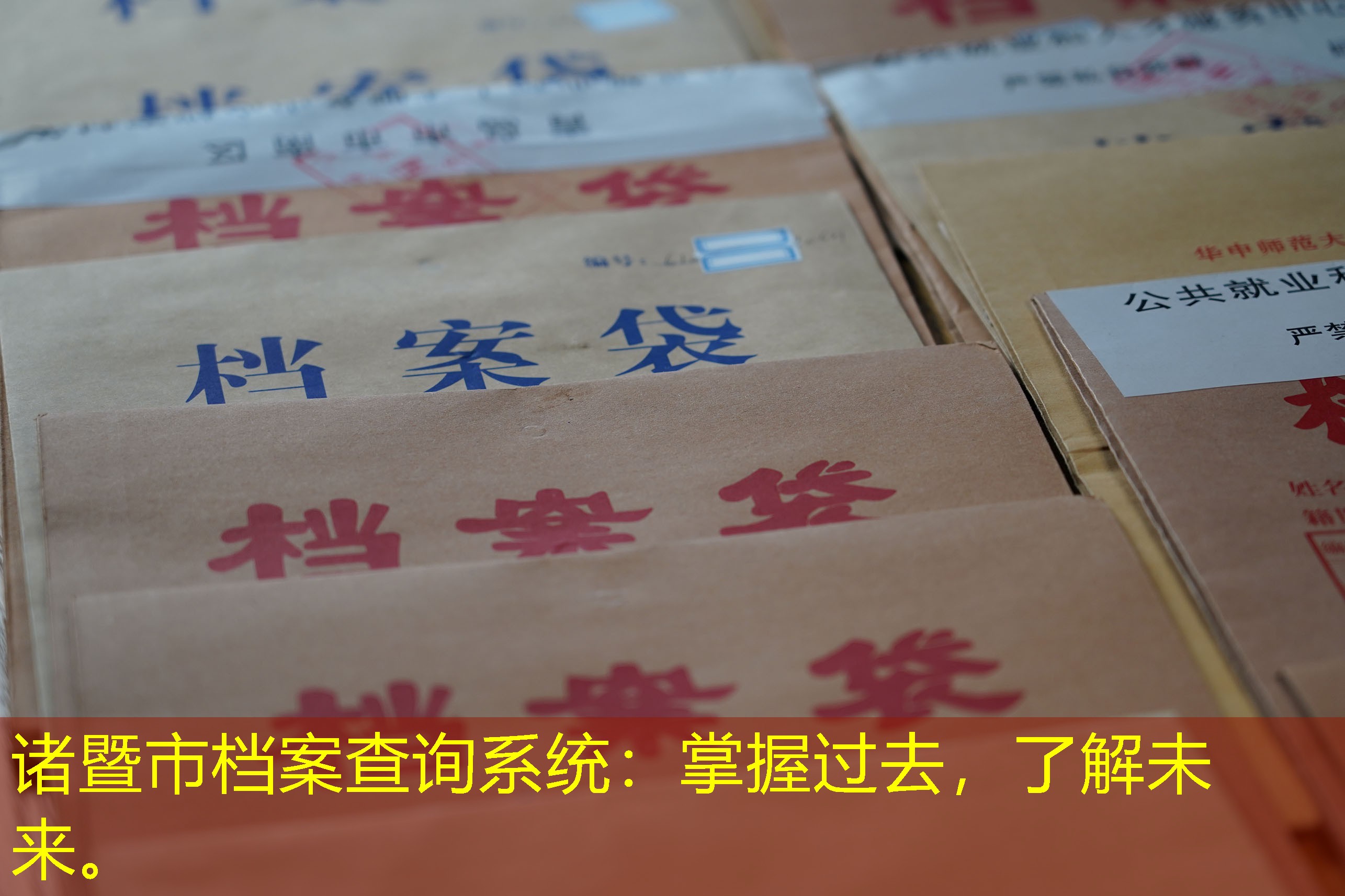 档案查询