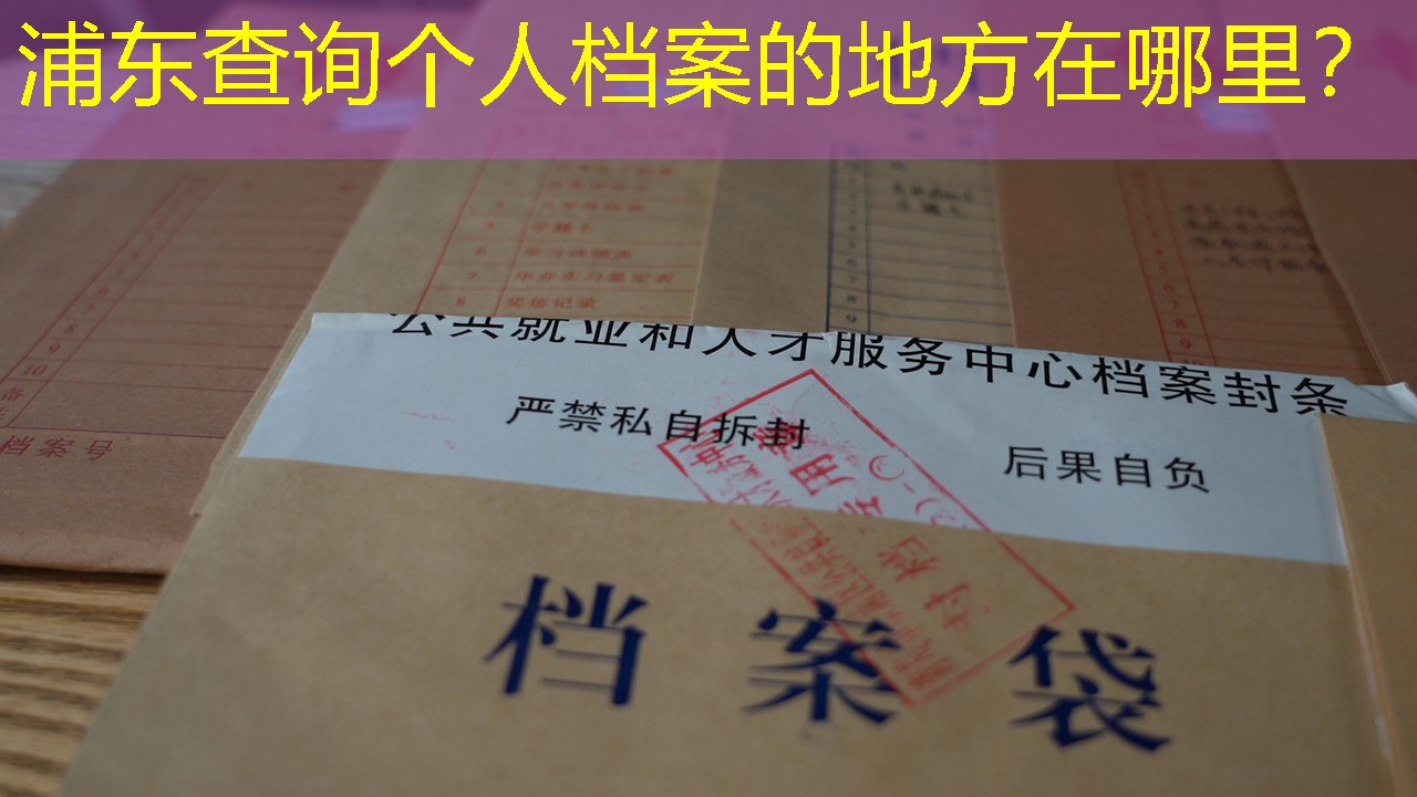 档案查询