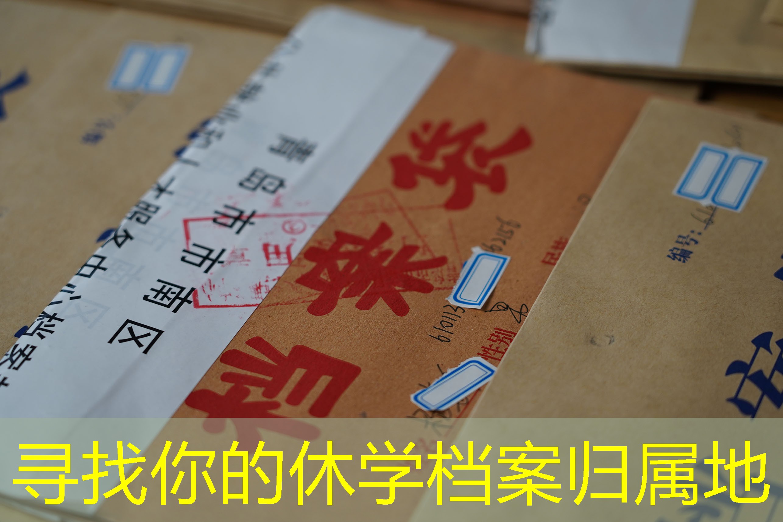 档案查询