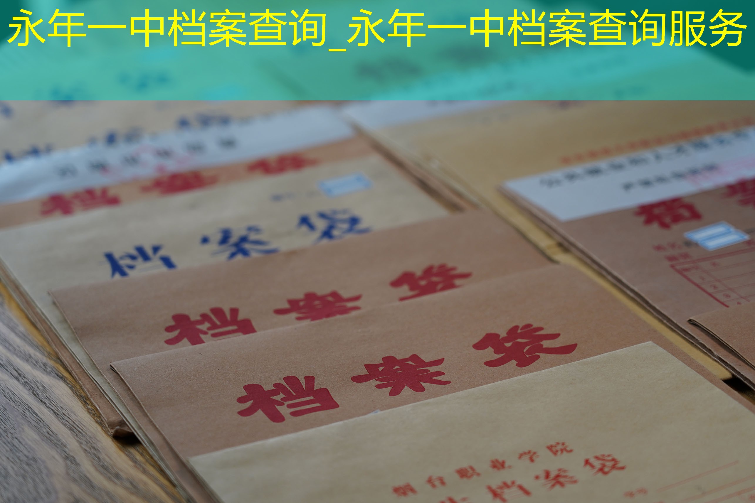 档案查询