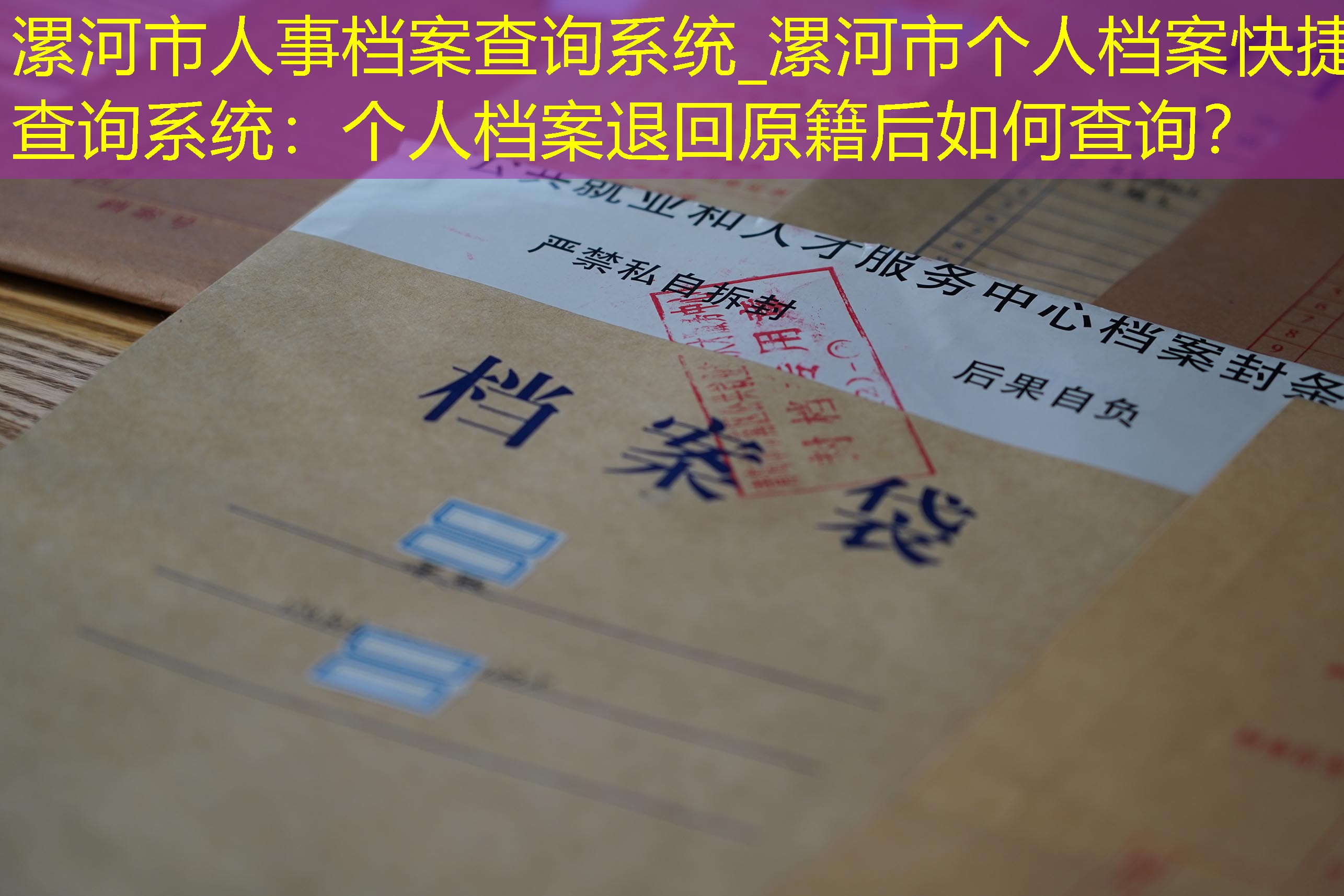 档案查询
