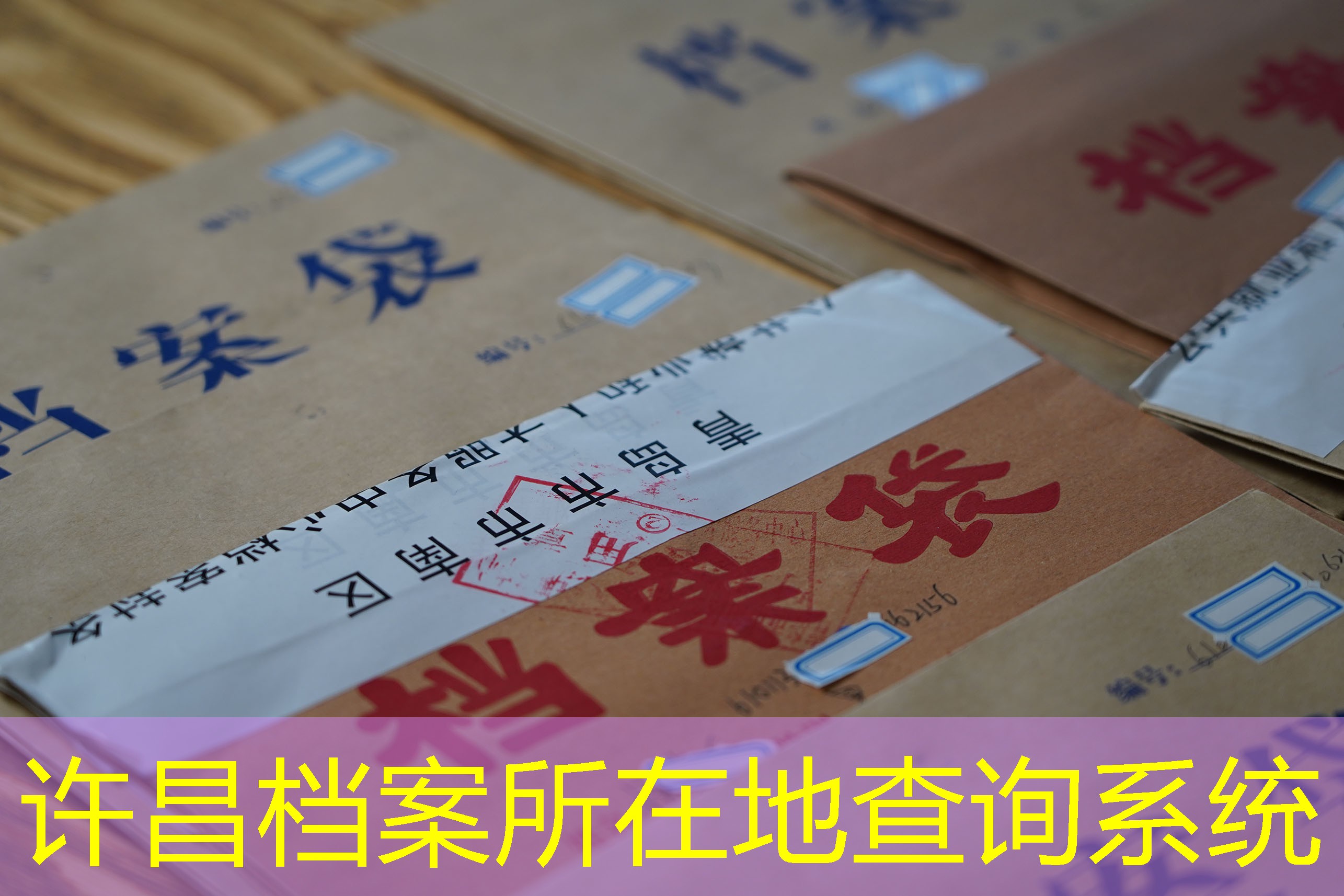 档案查询