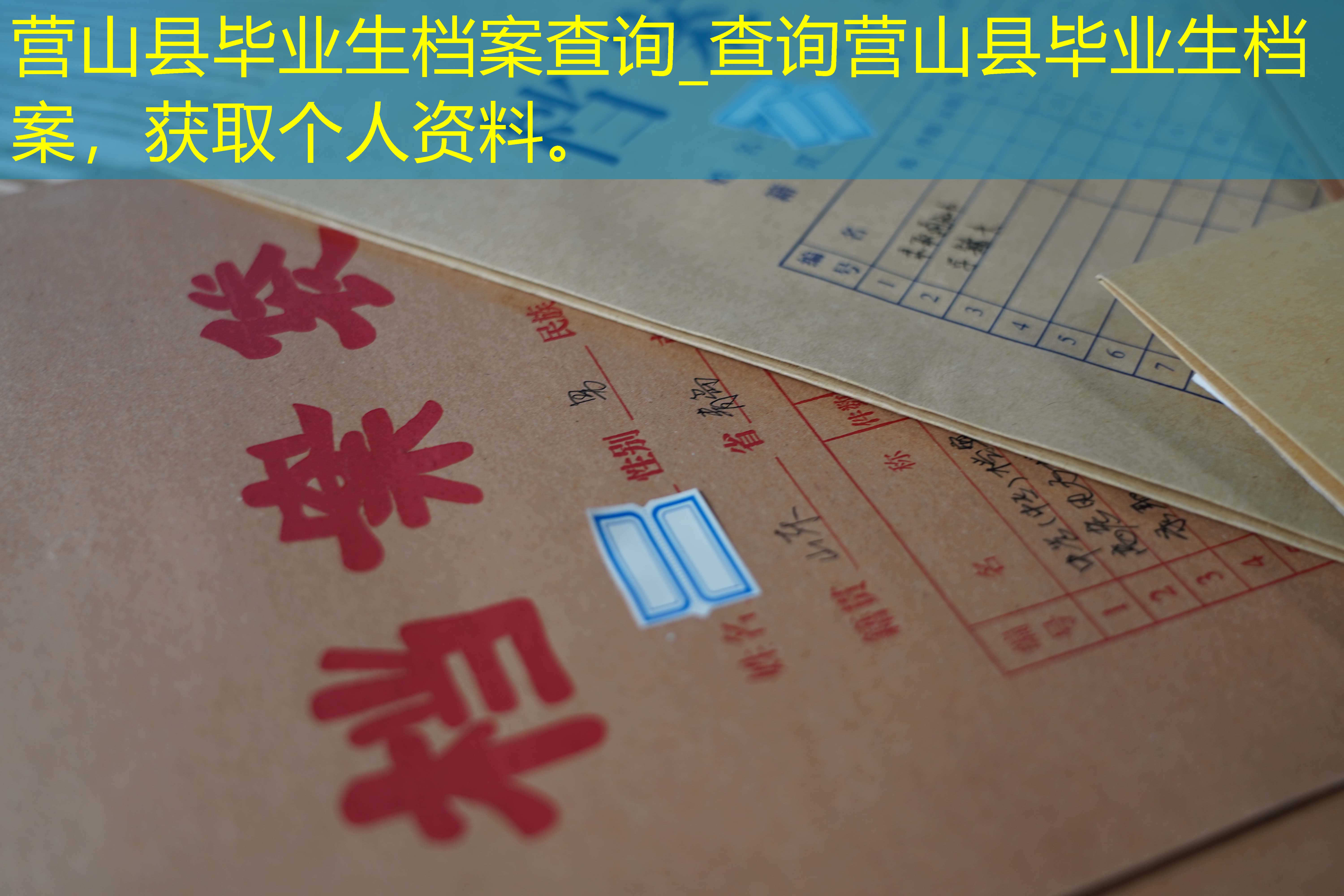 档案查询