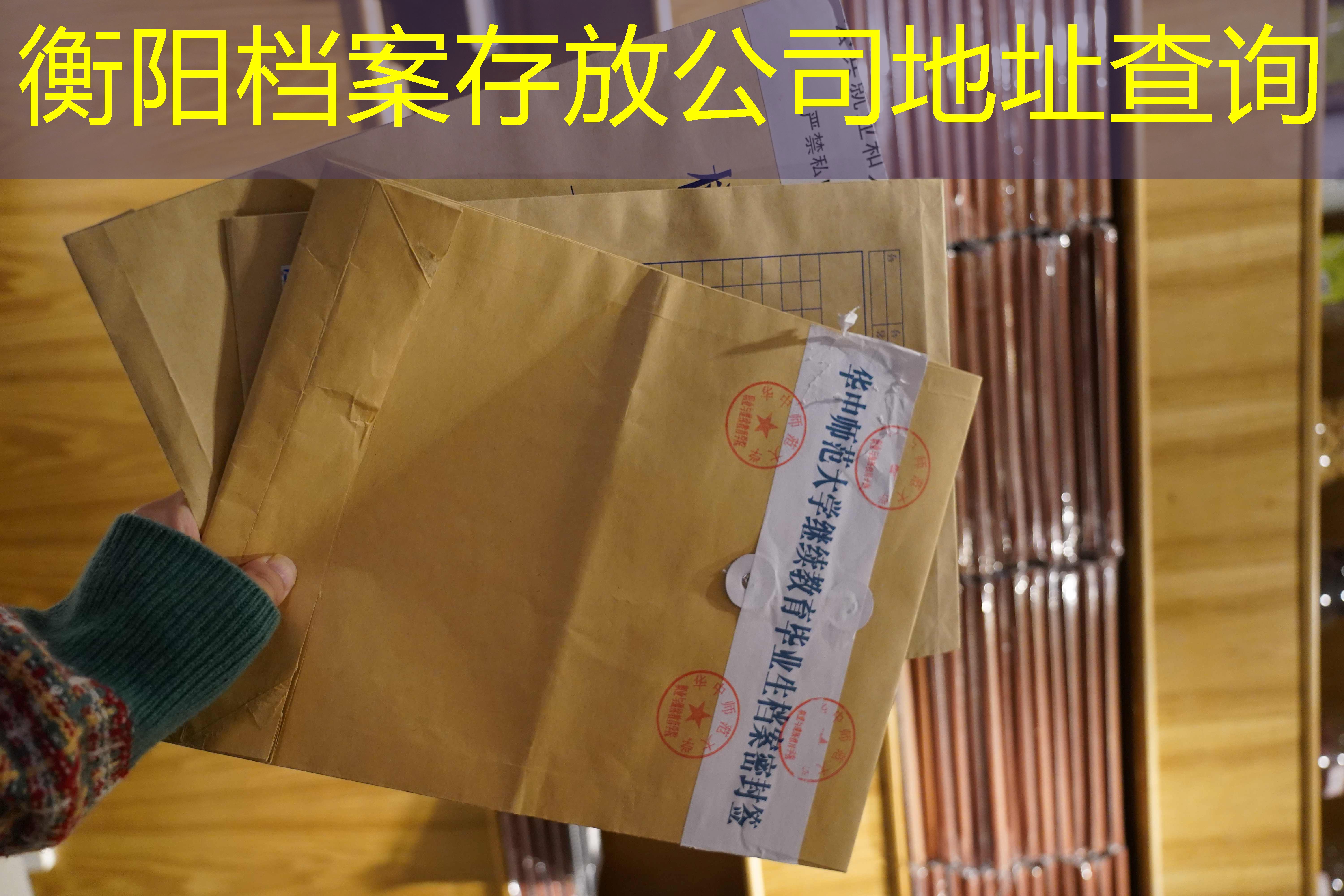 档案查询