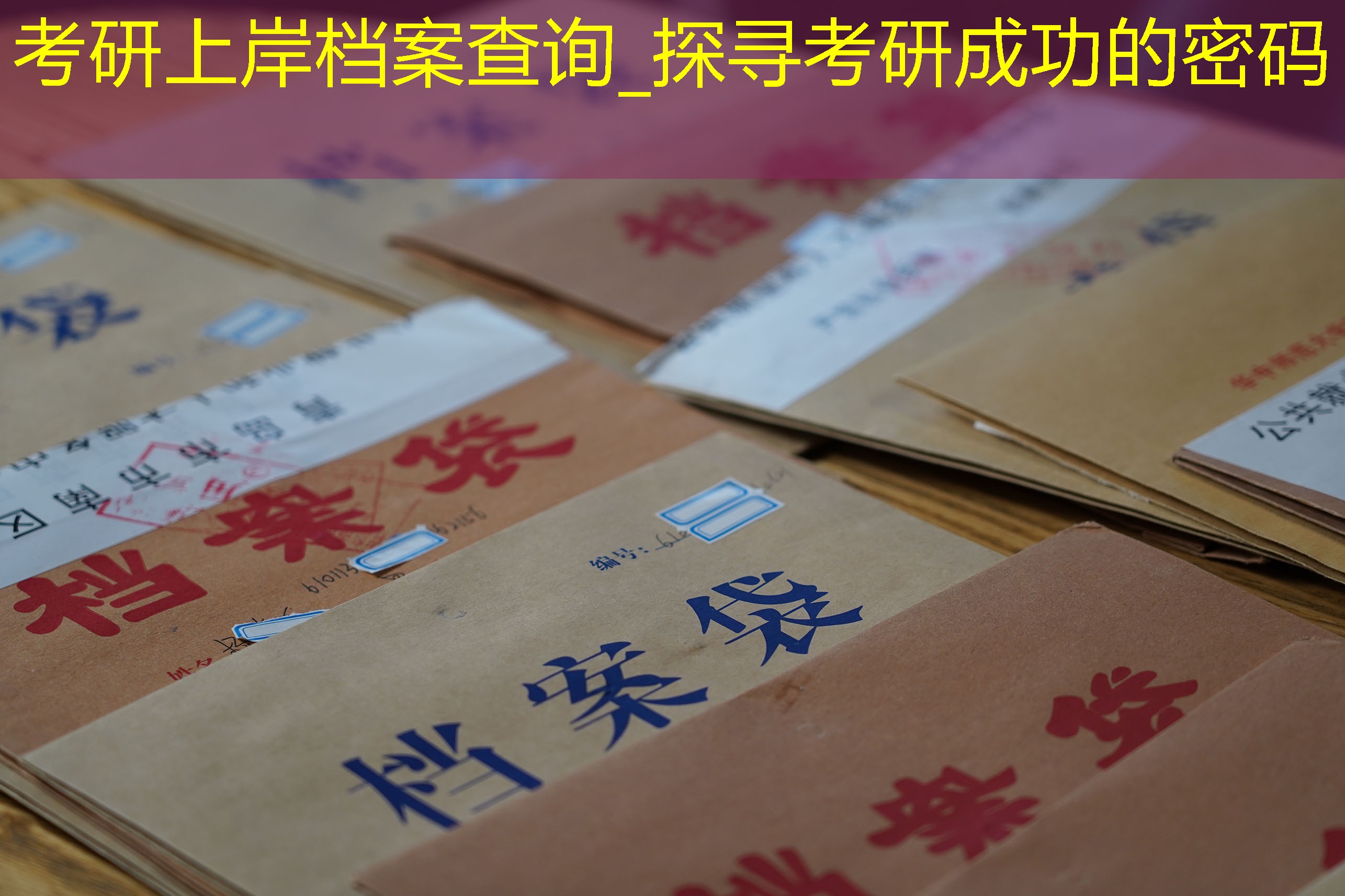 档案查询