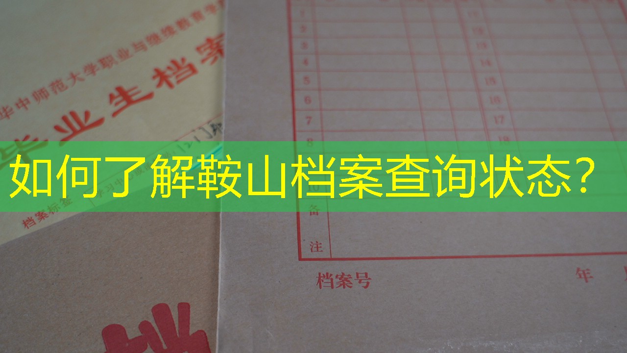 档案查询