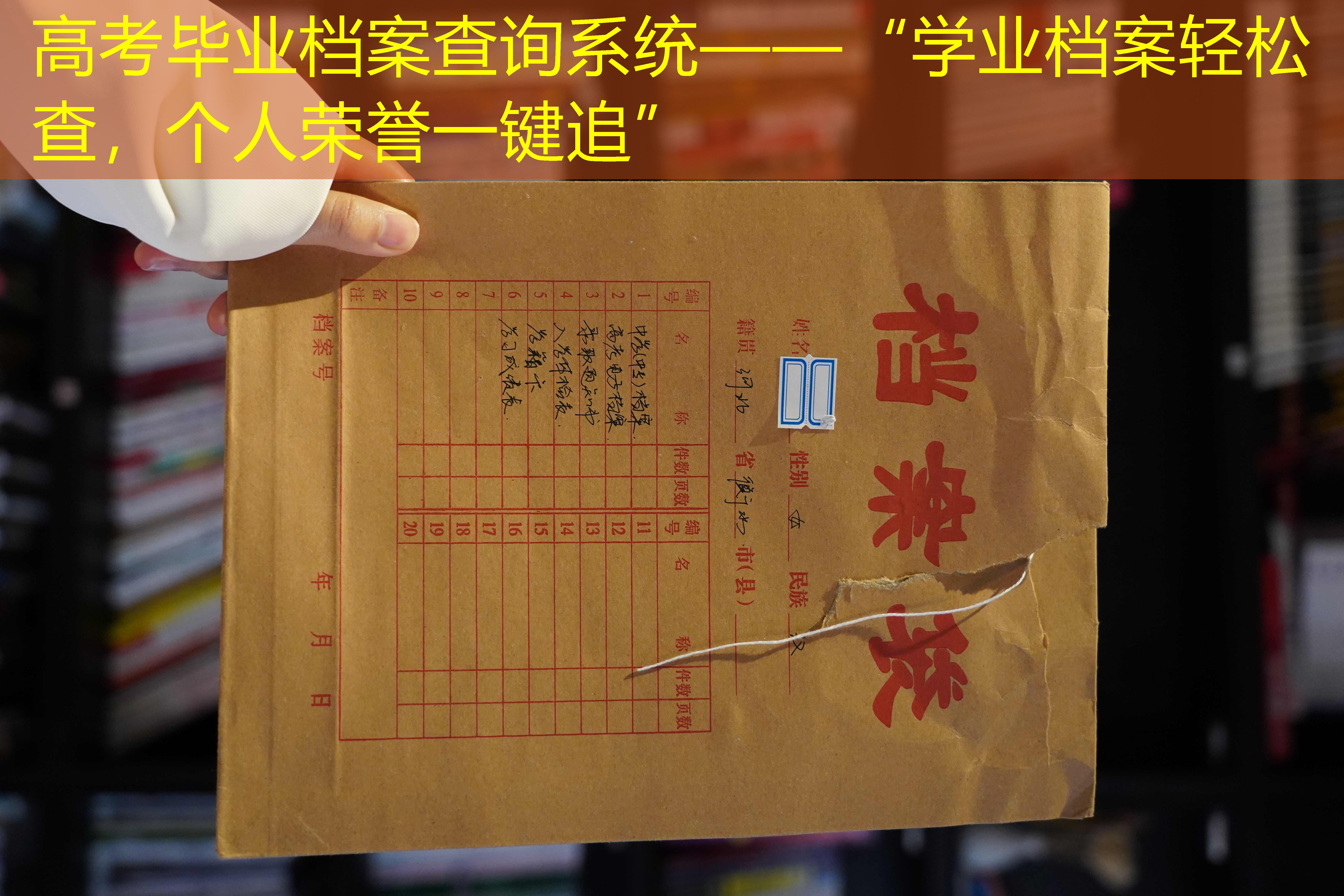 档案查询