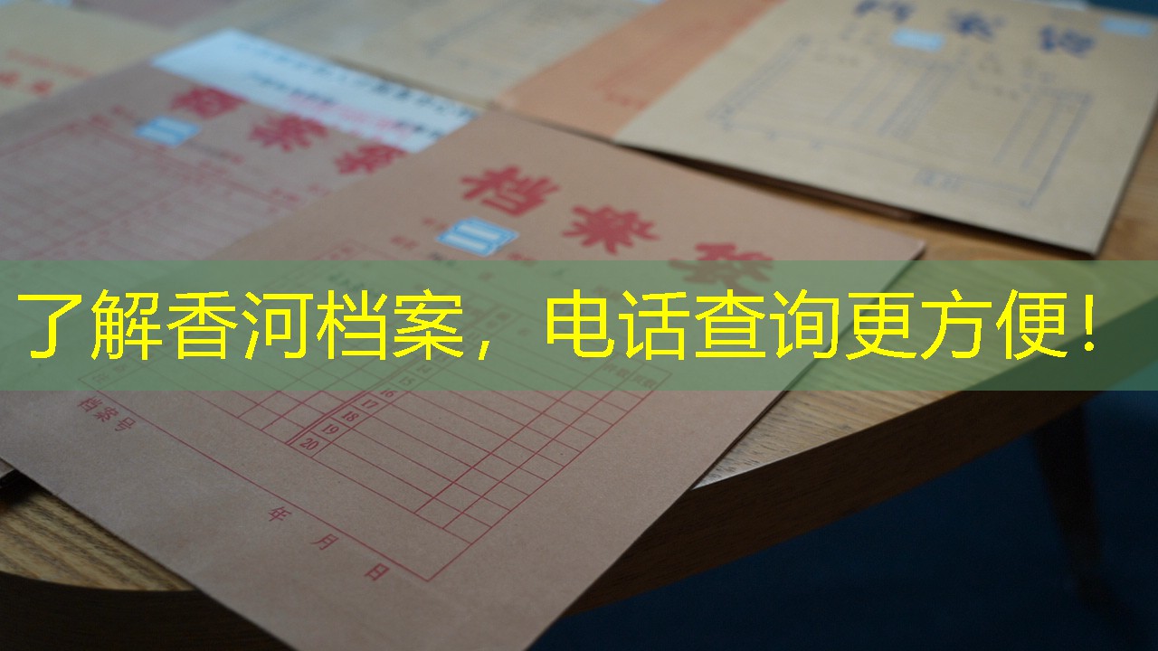 档案查询