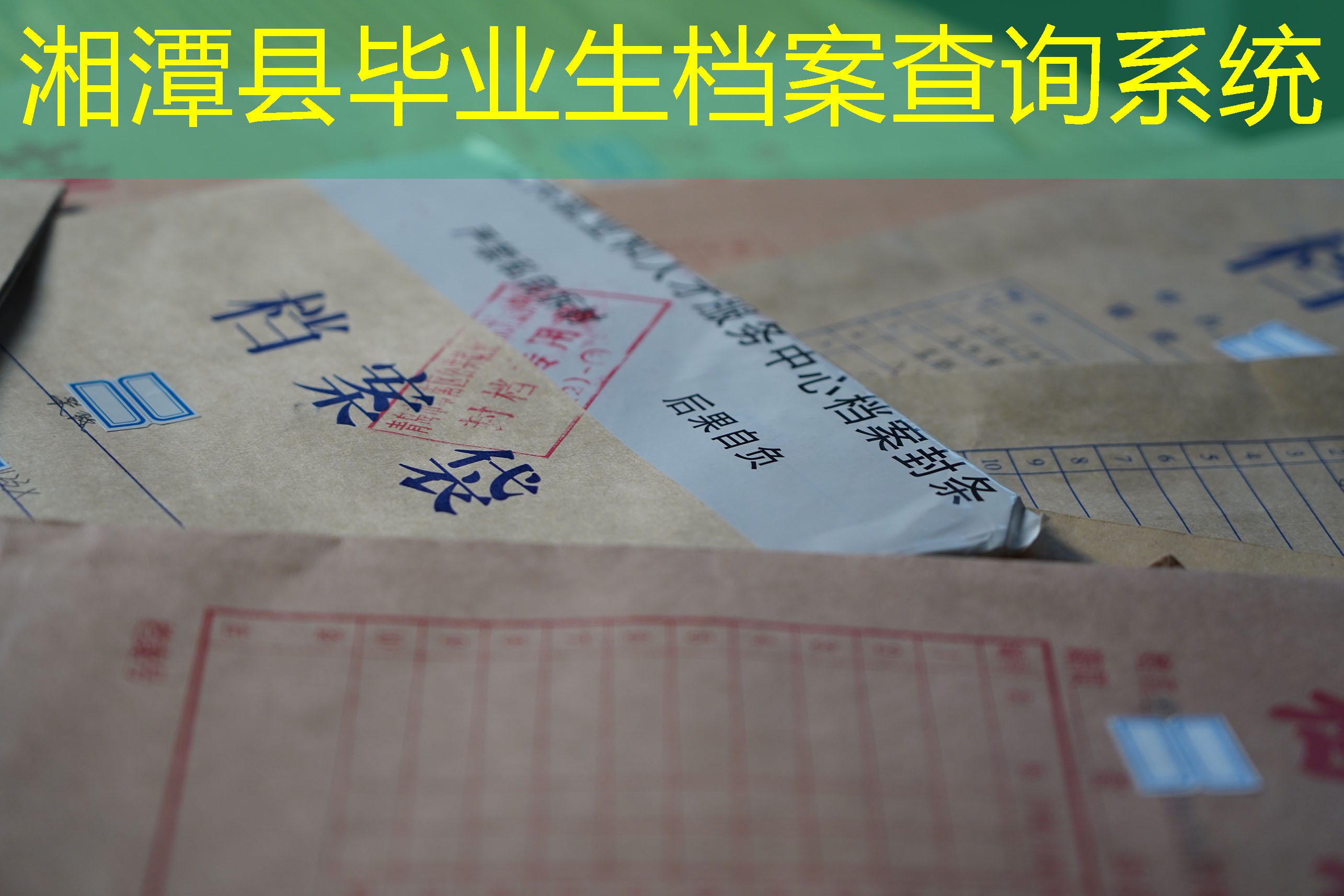 档案查询