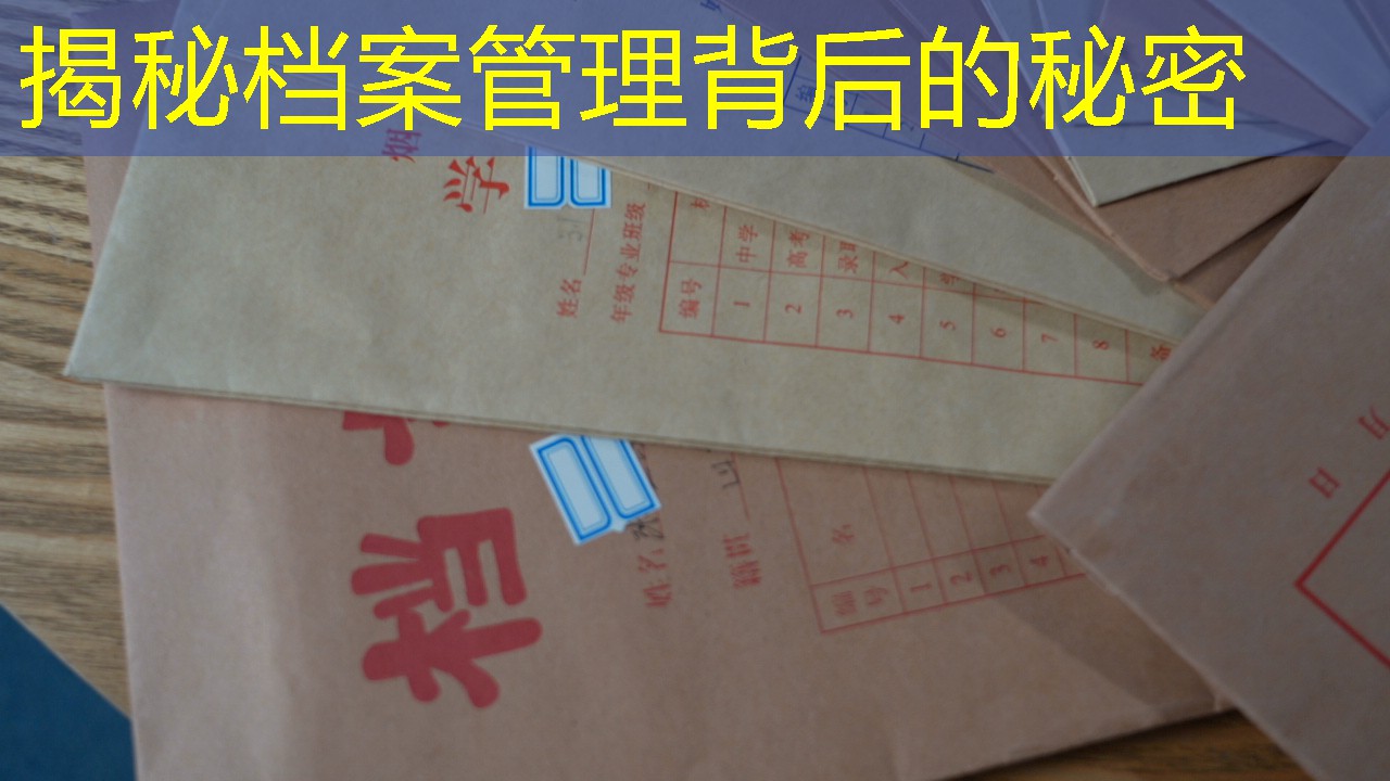 档案查询