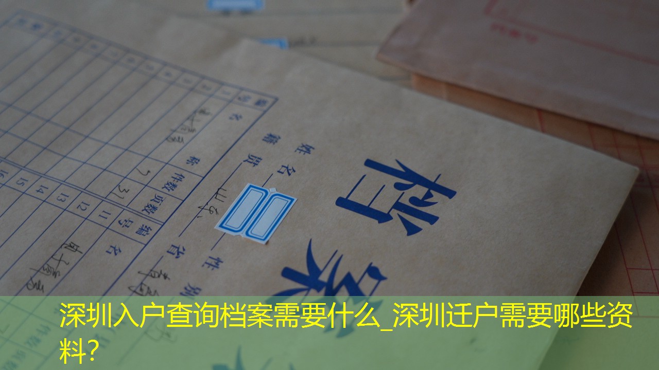 档案查询