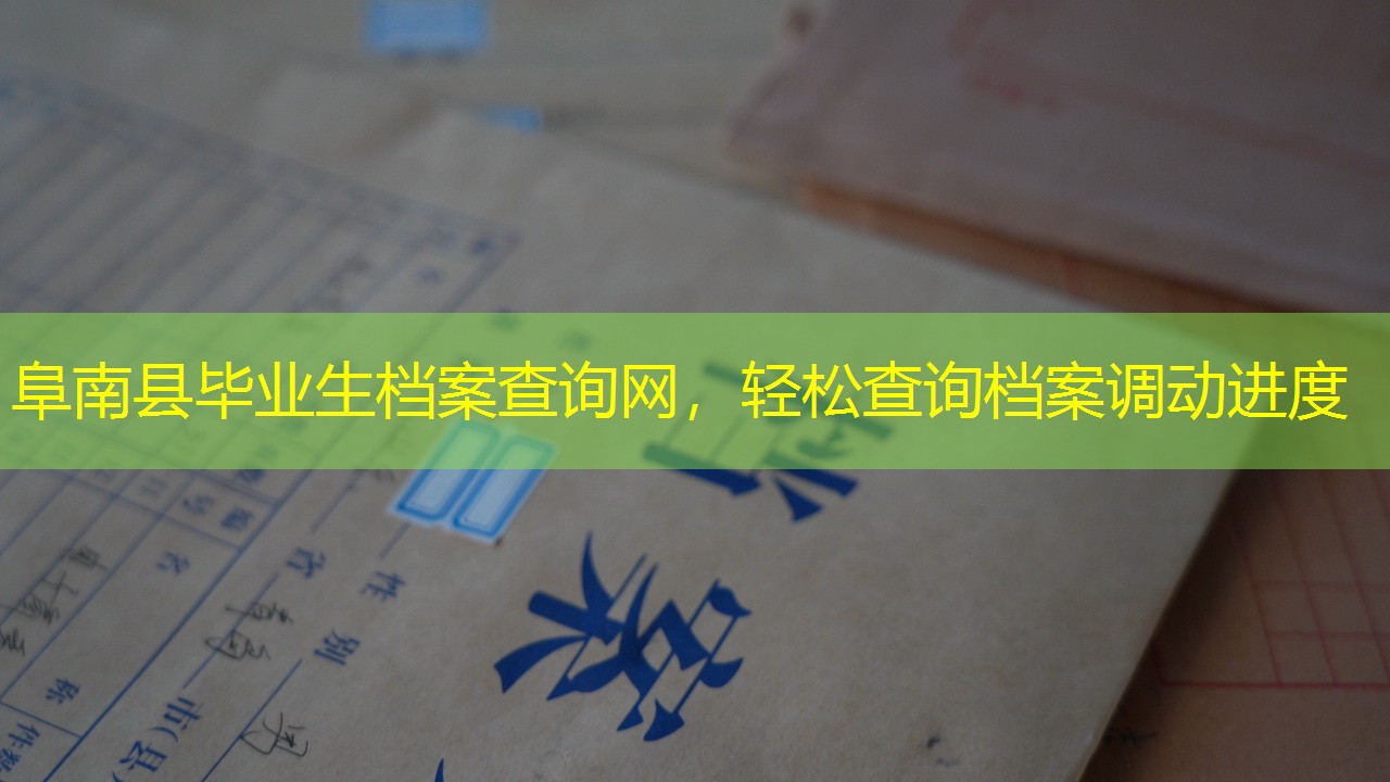 档案查询
