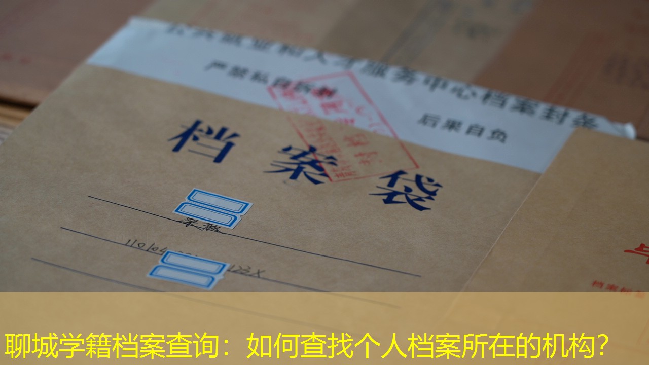档案查询