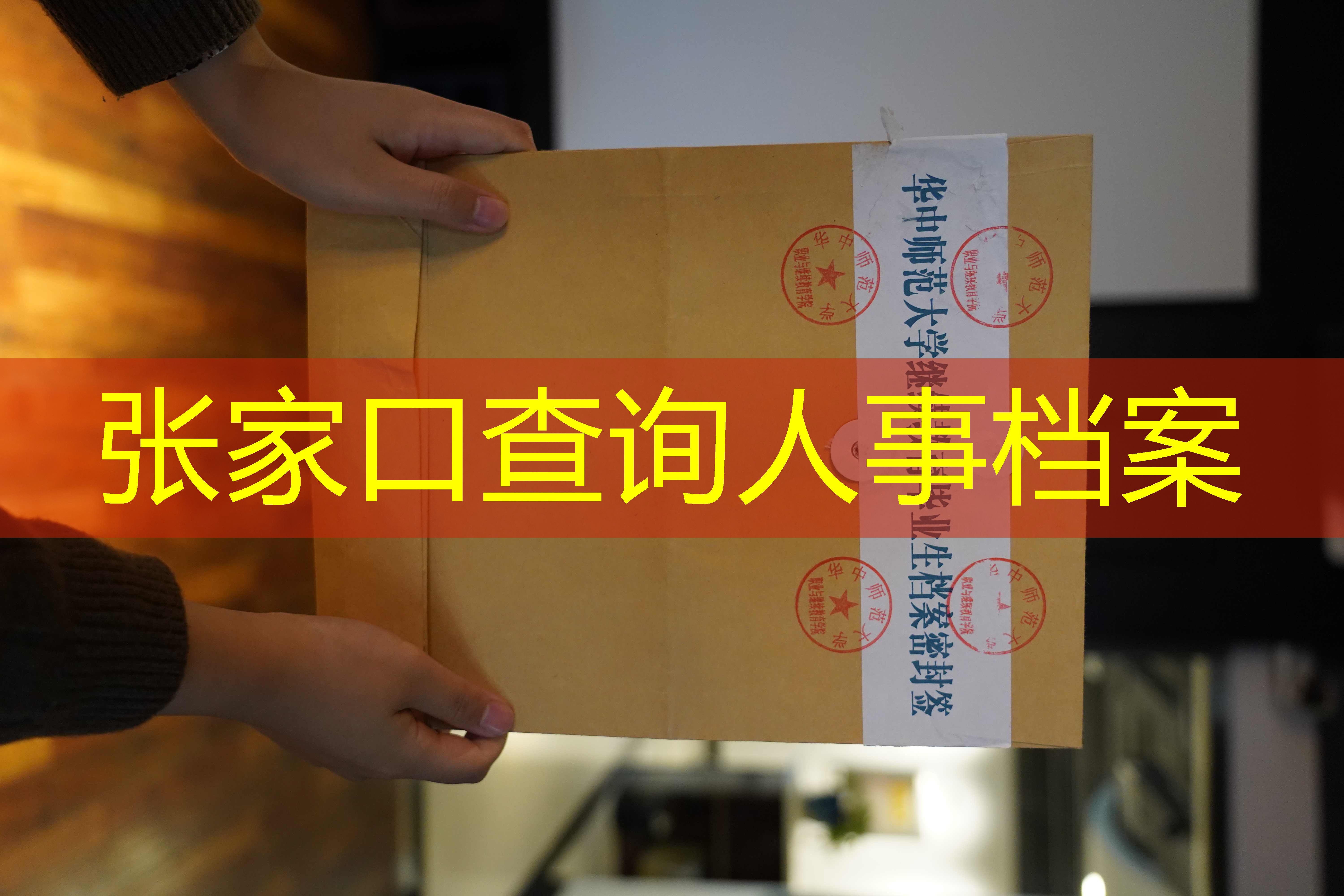 档案查询