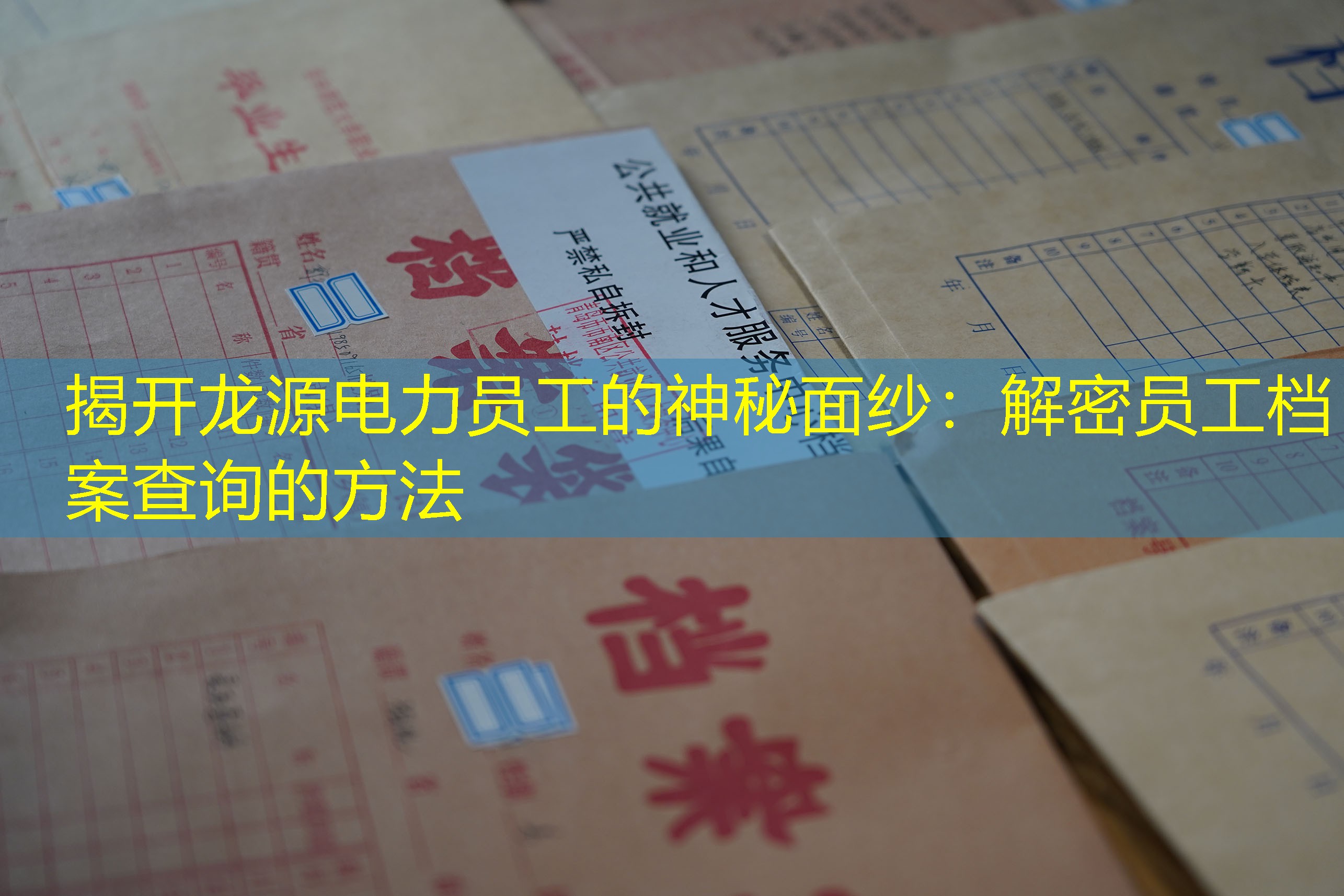 档案查询