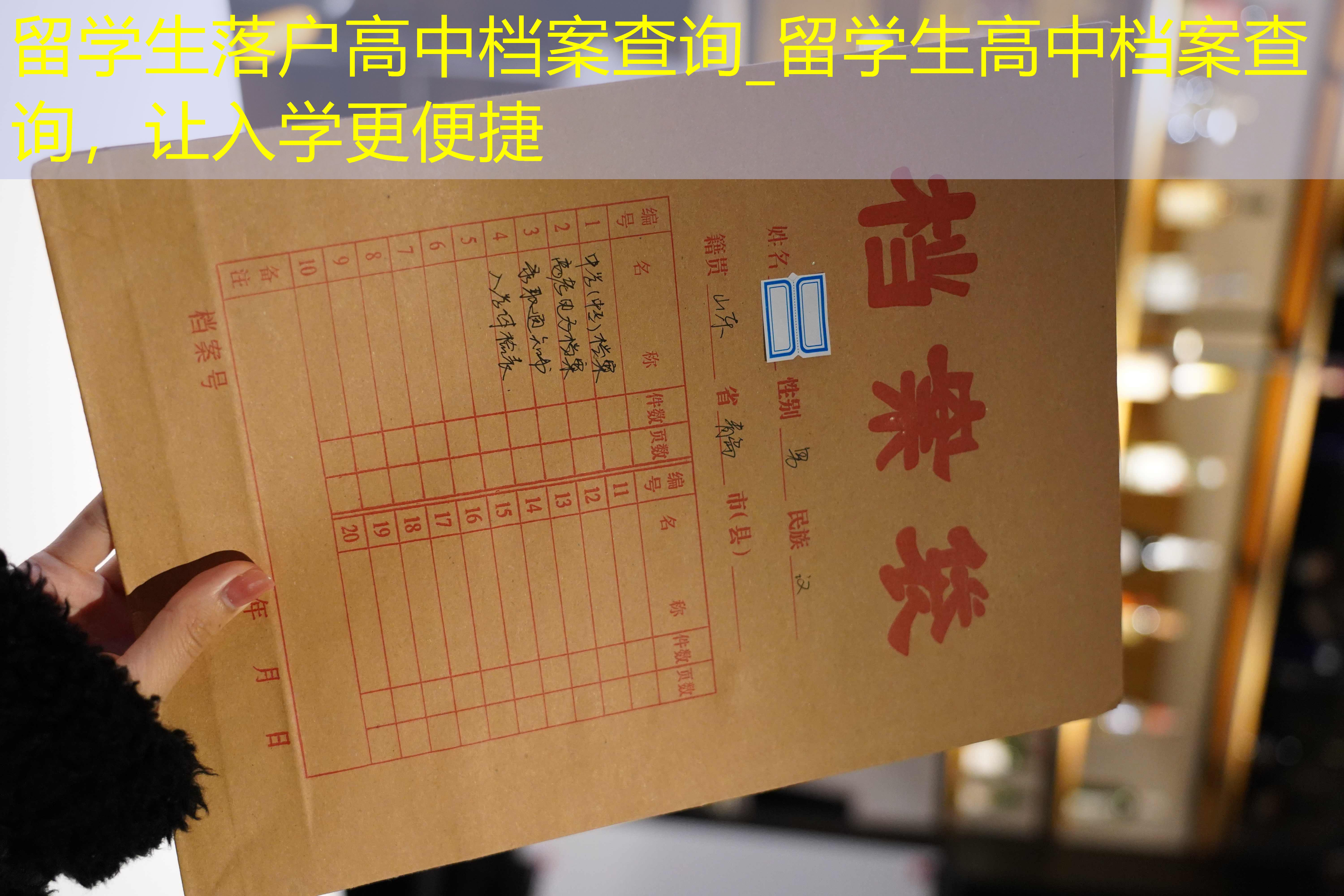 档案查询
