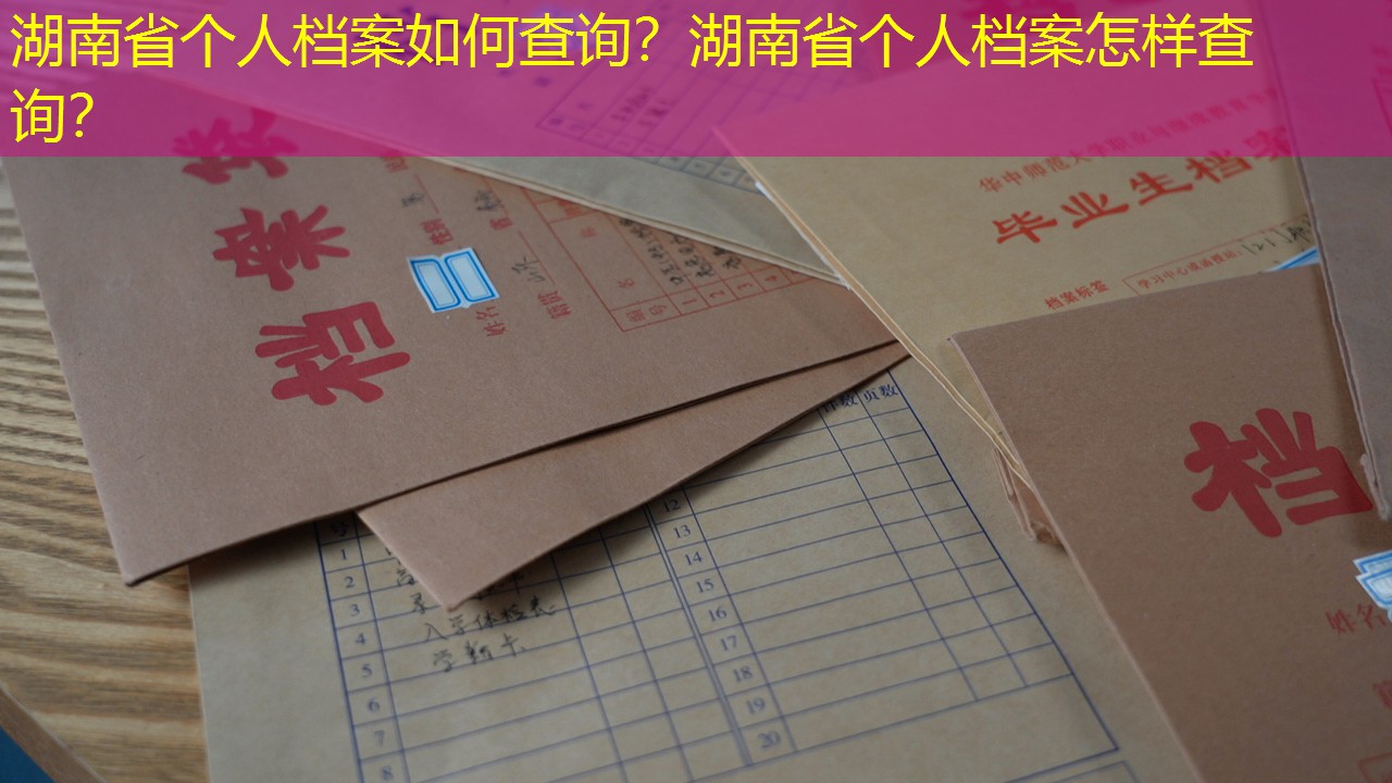档案查询