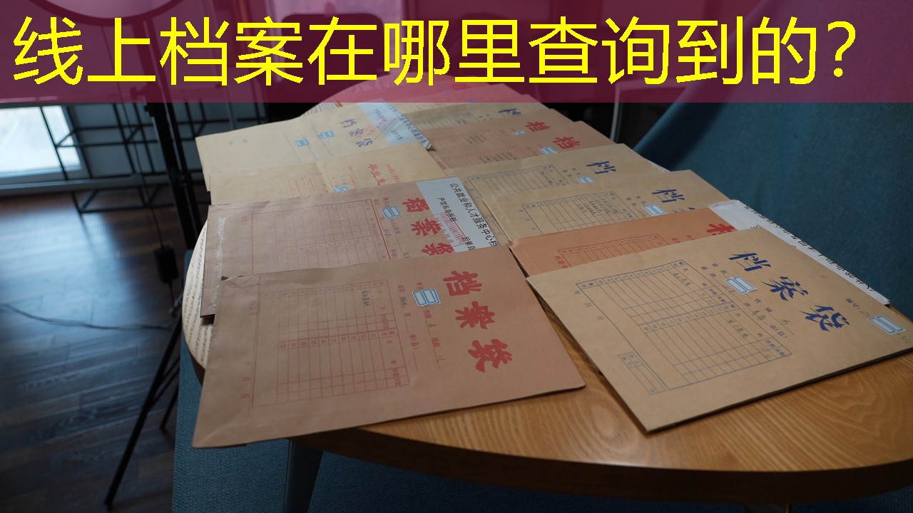档案查询