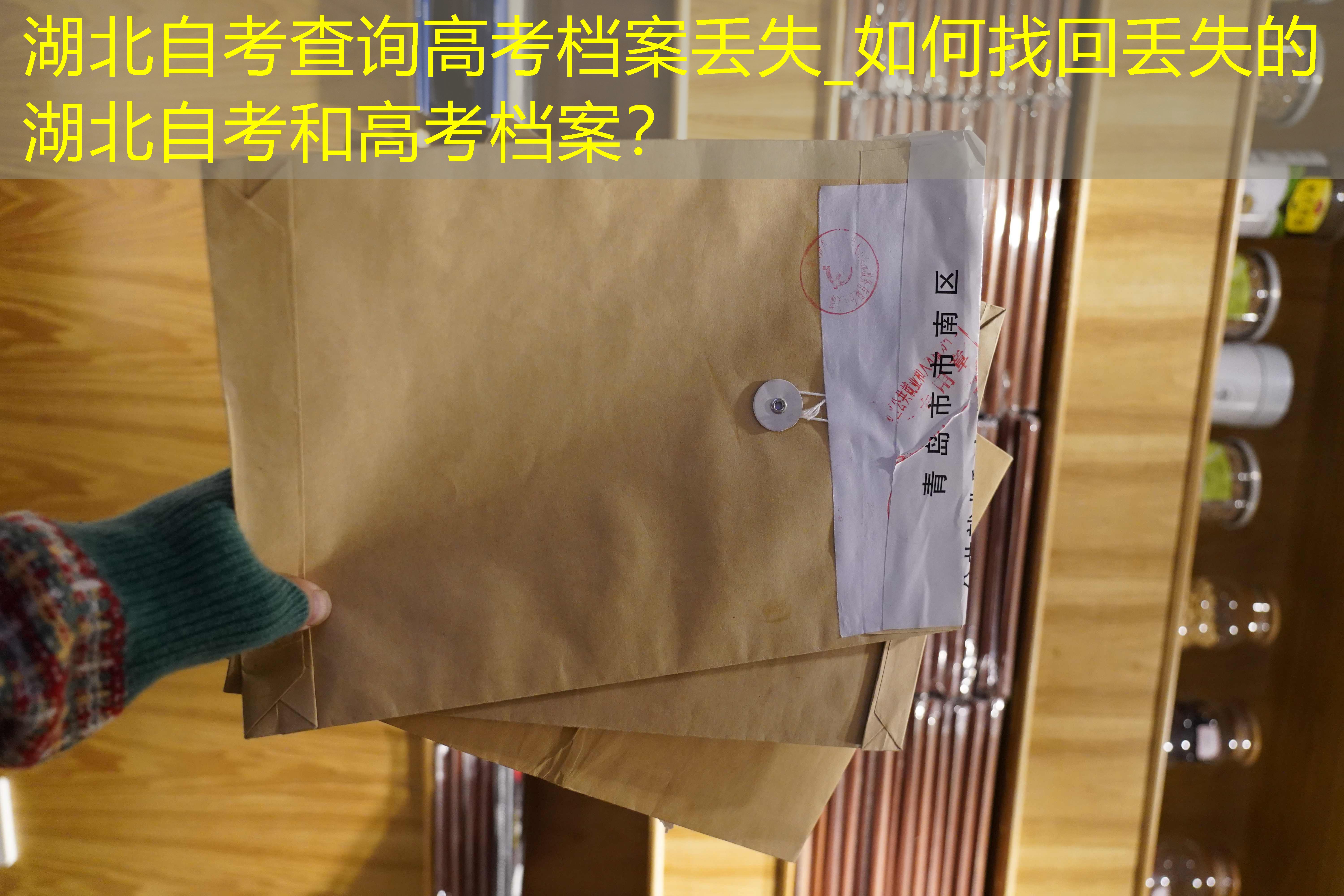 档案查询