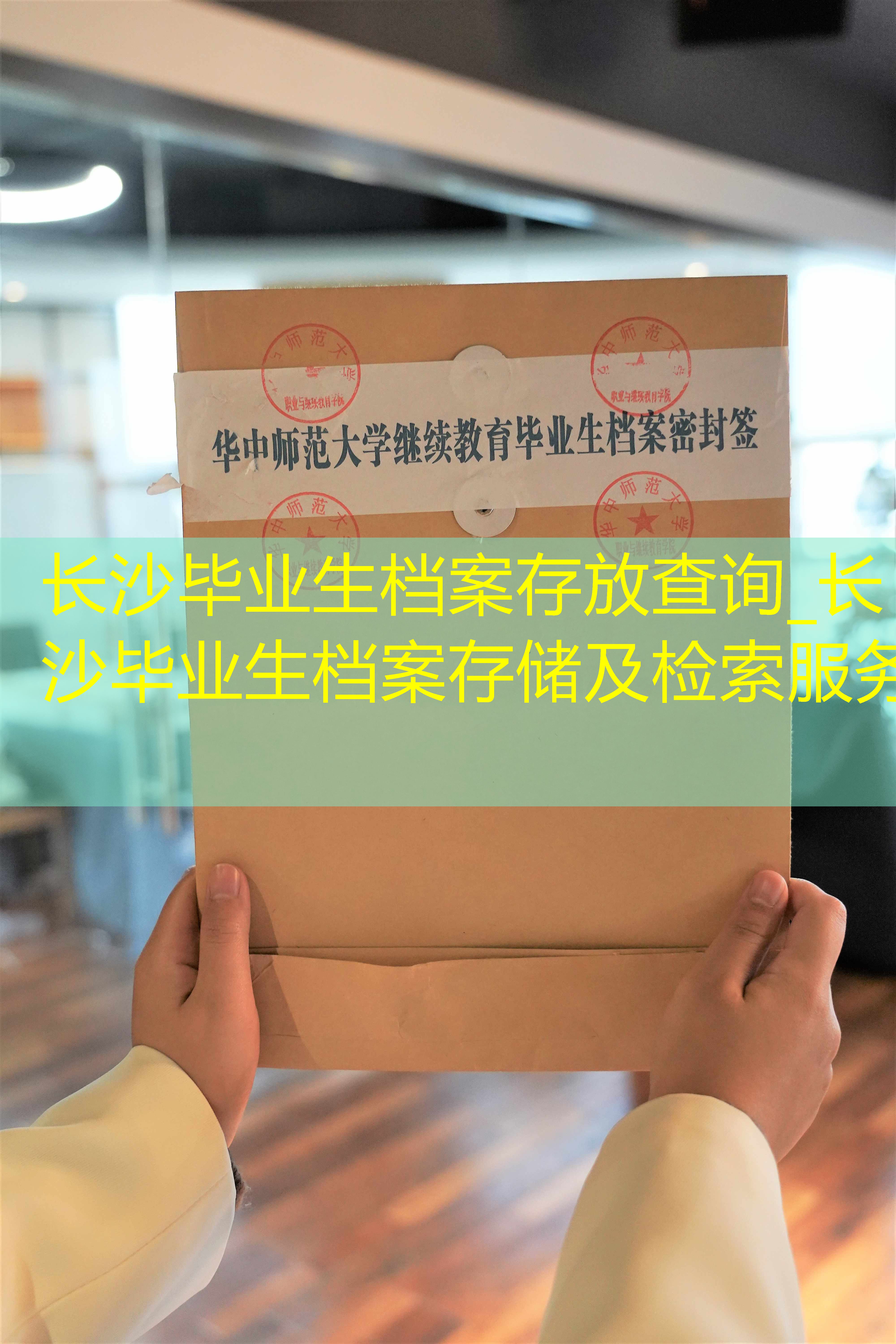 档案查询