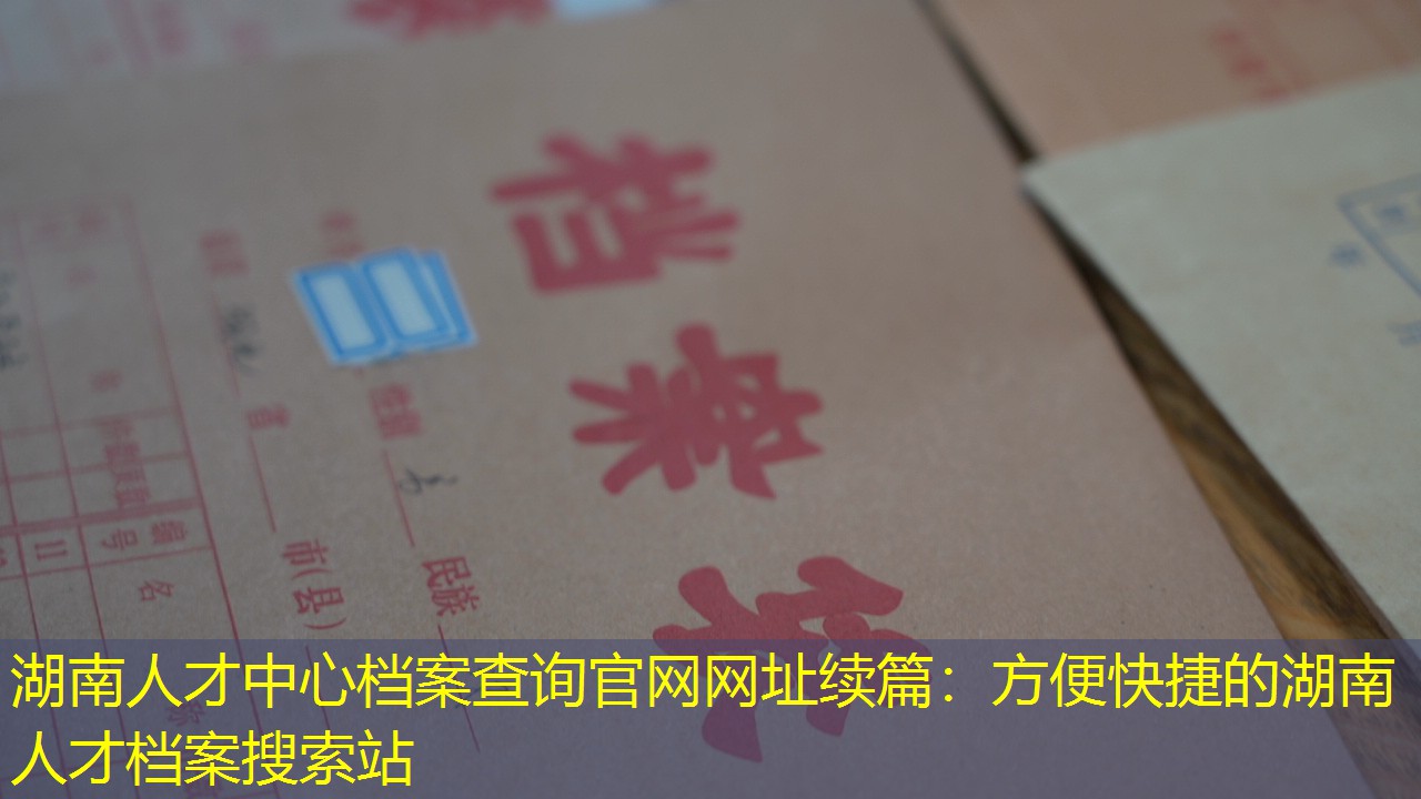 档案查询