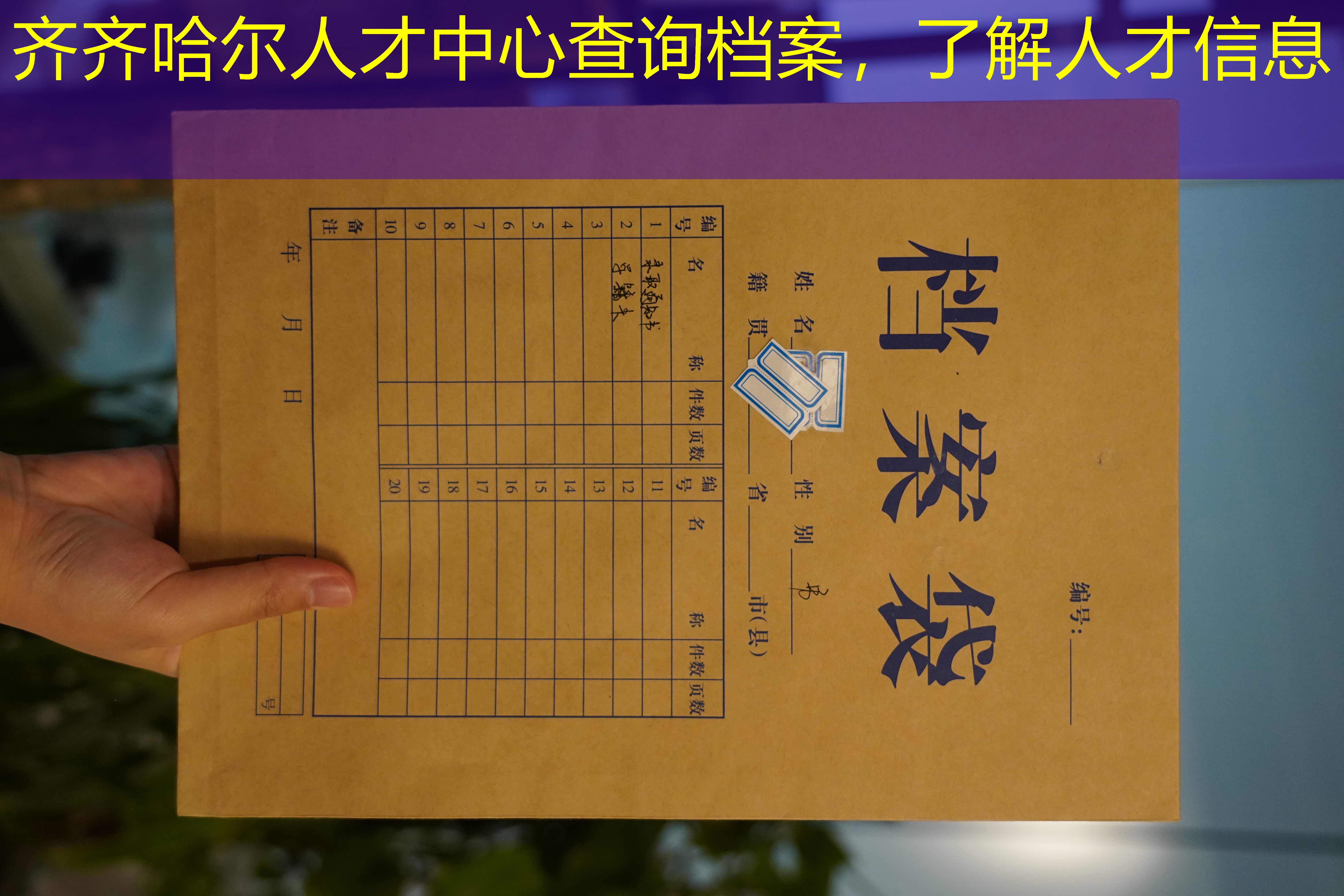 档案查询