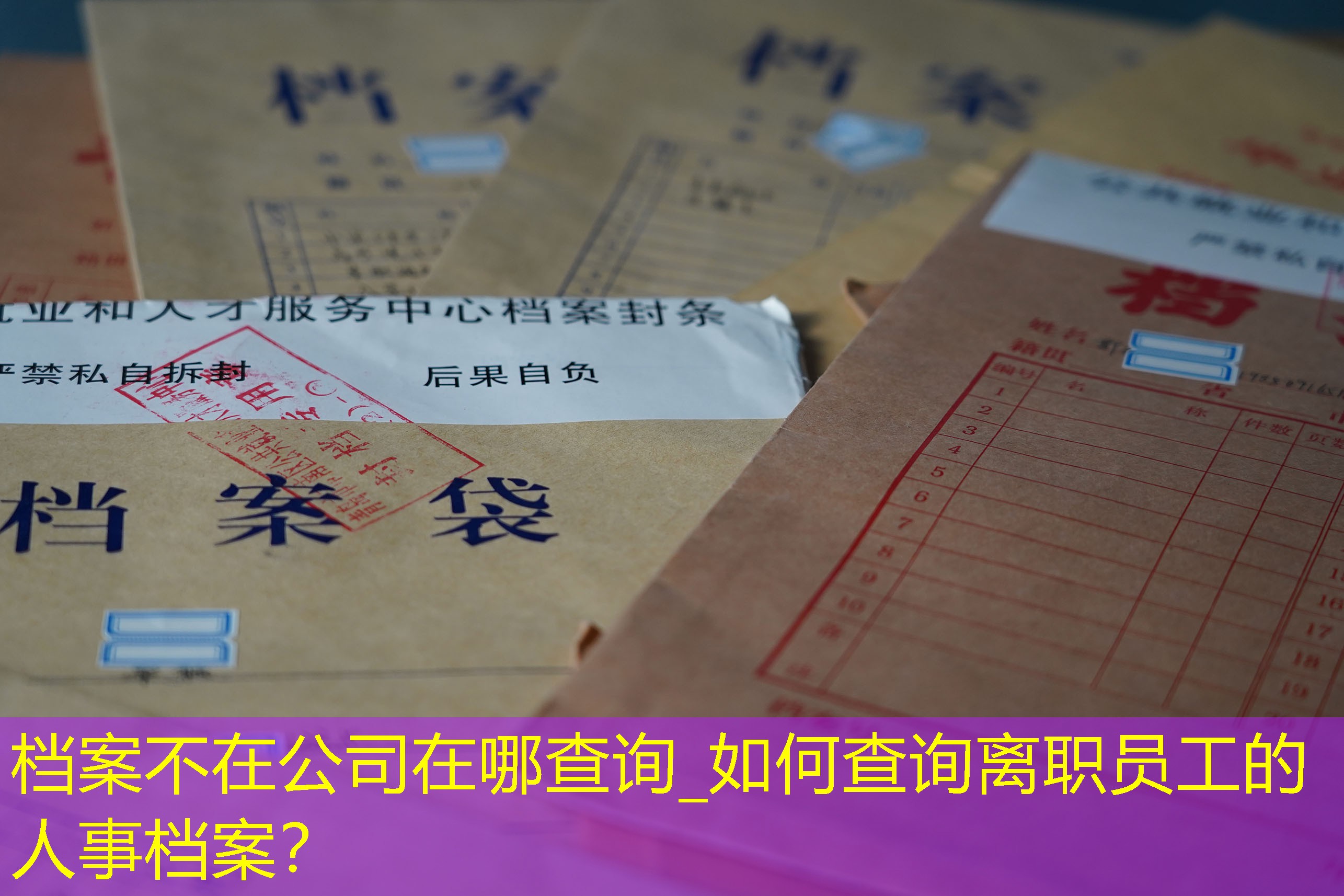 档案查询