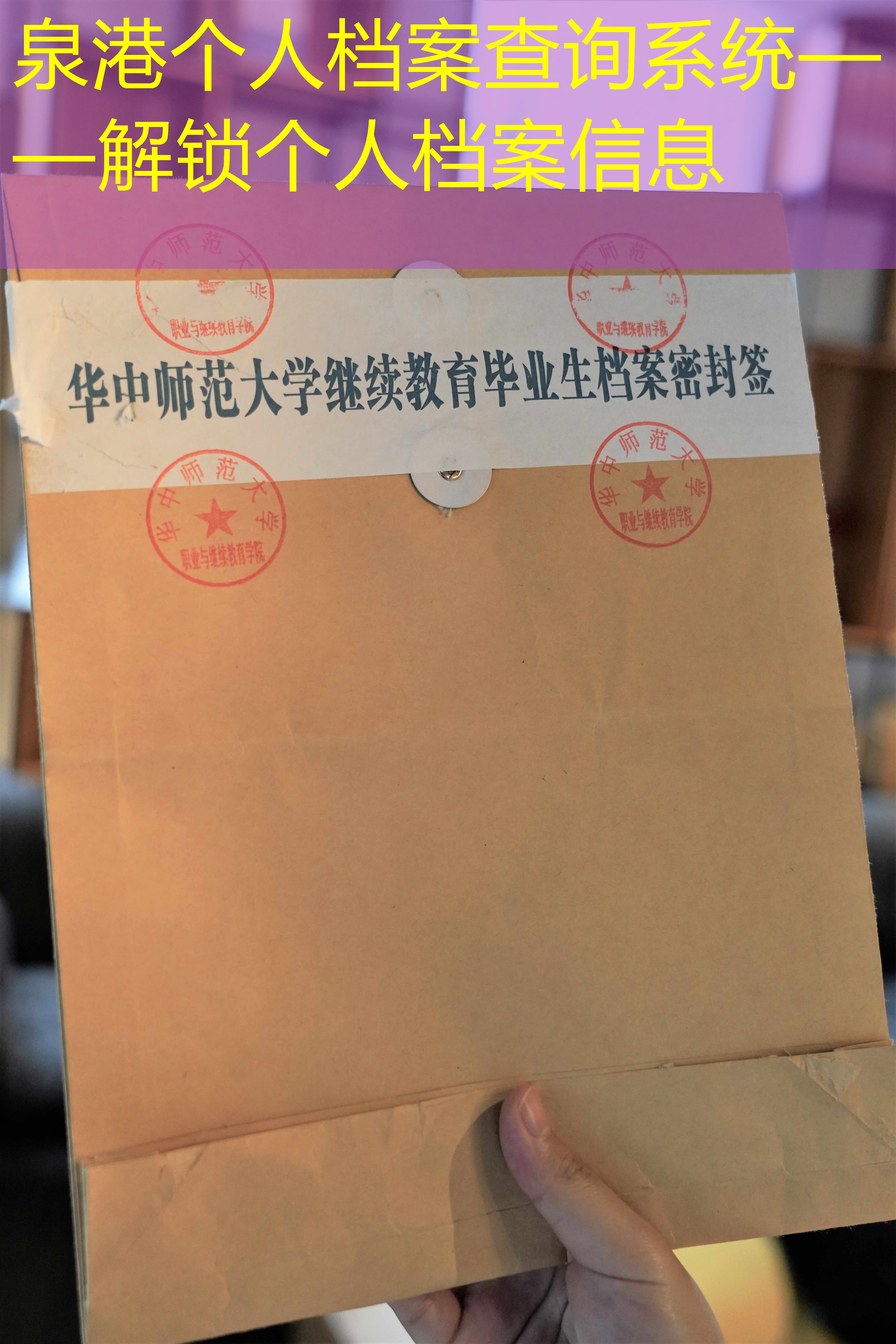 档案查询