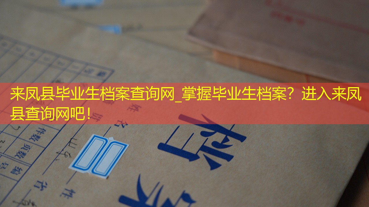 档案查询