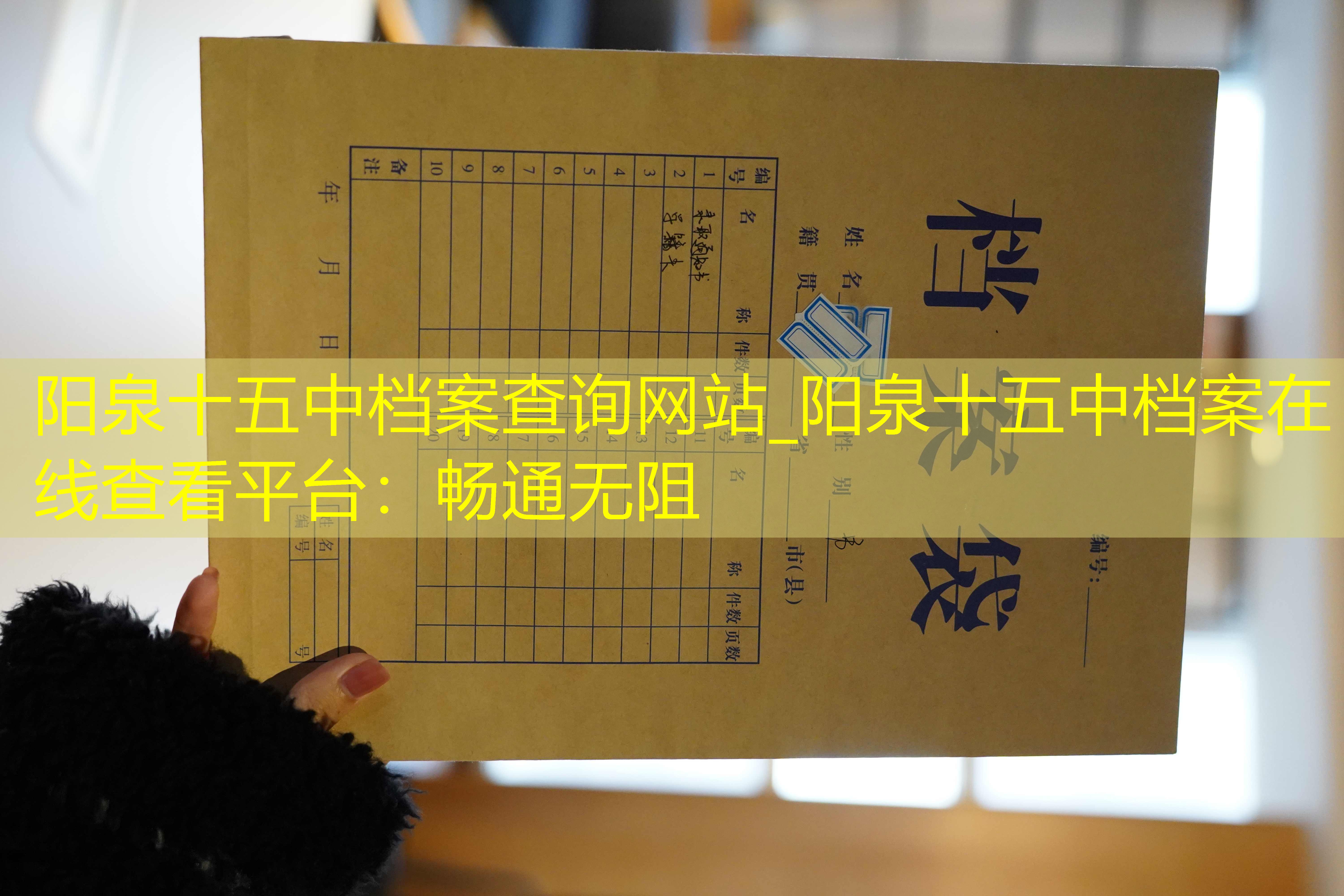 档案查询
