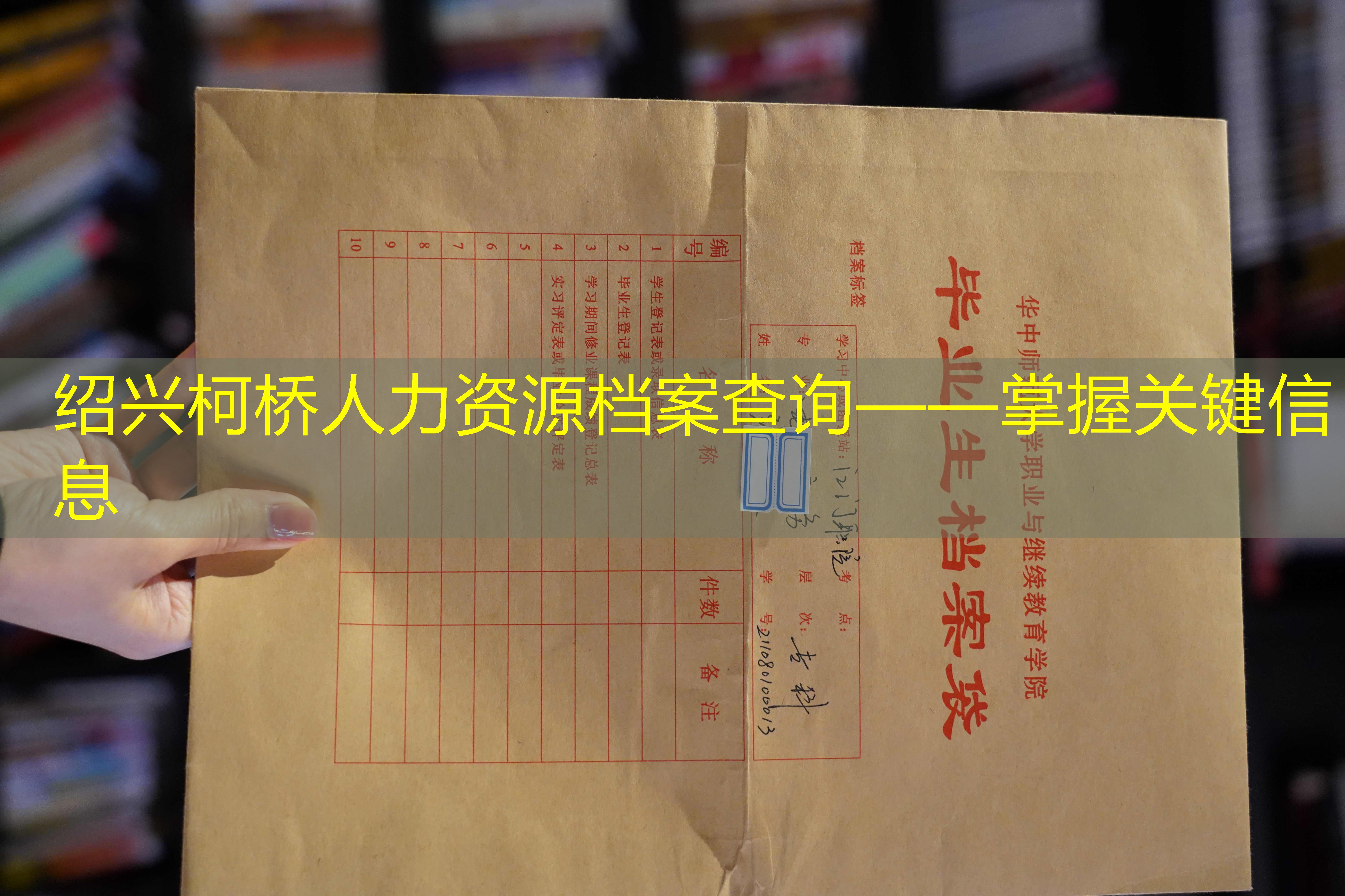 档案查询