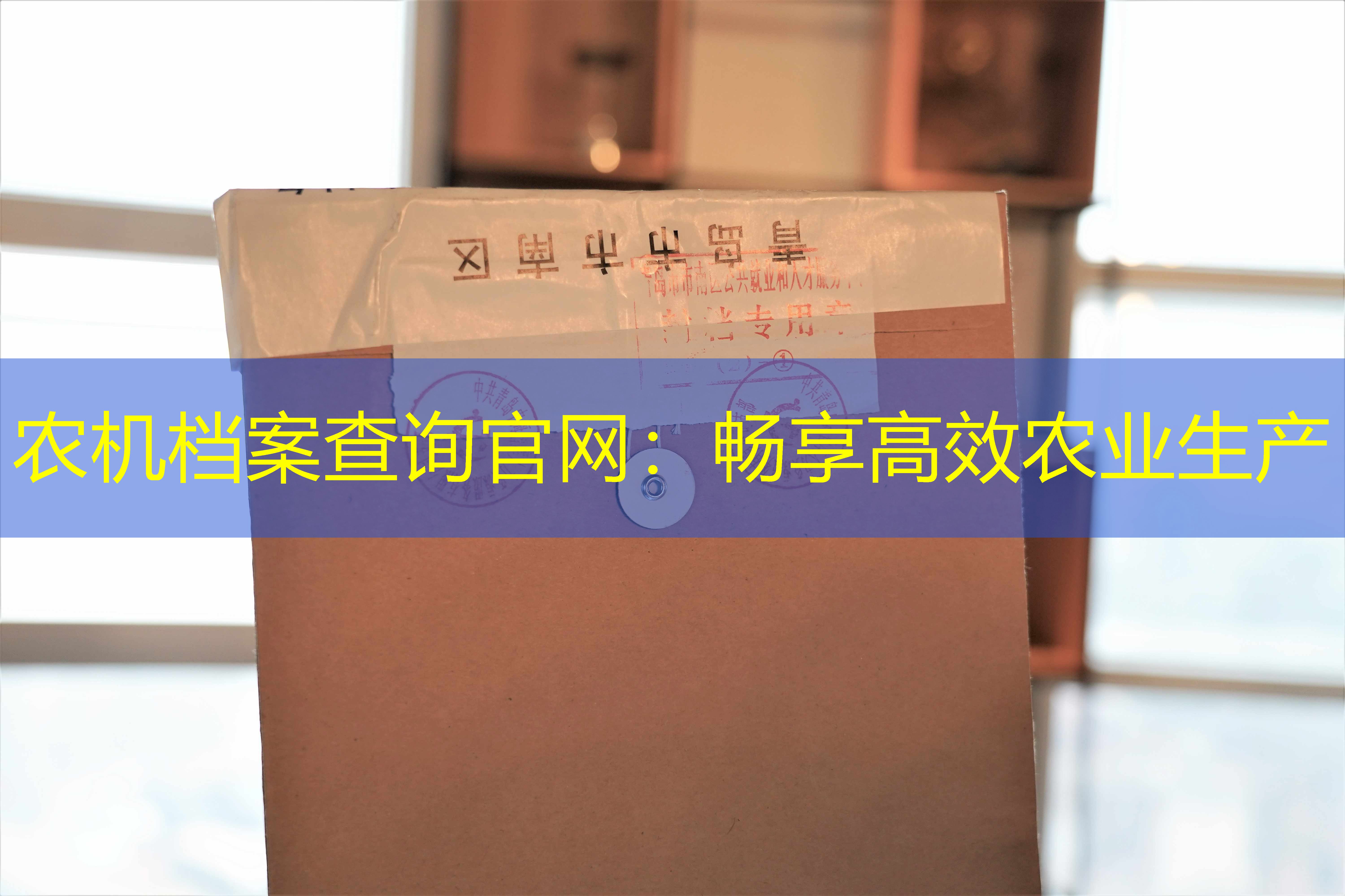 档案查询