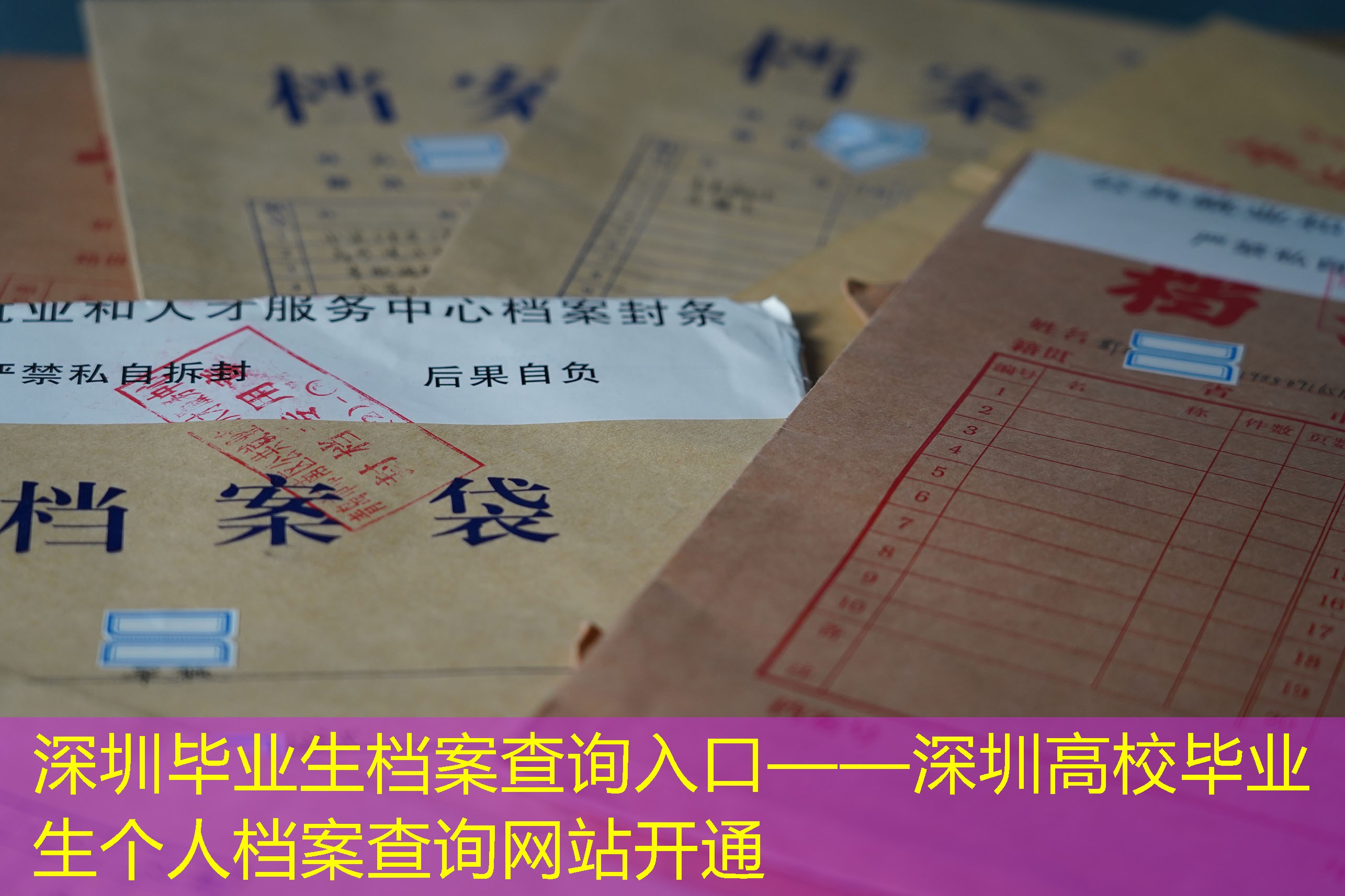 档案查询