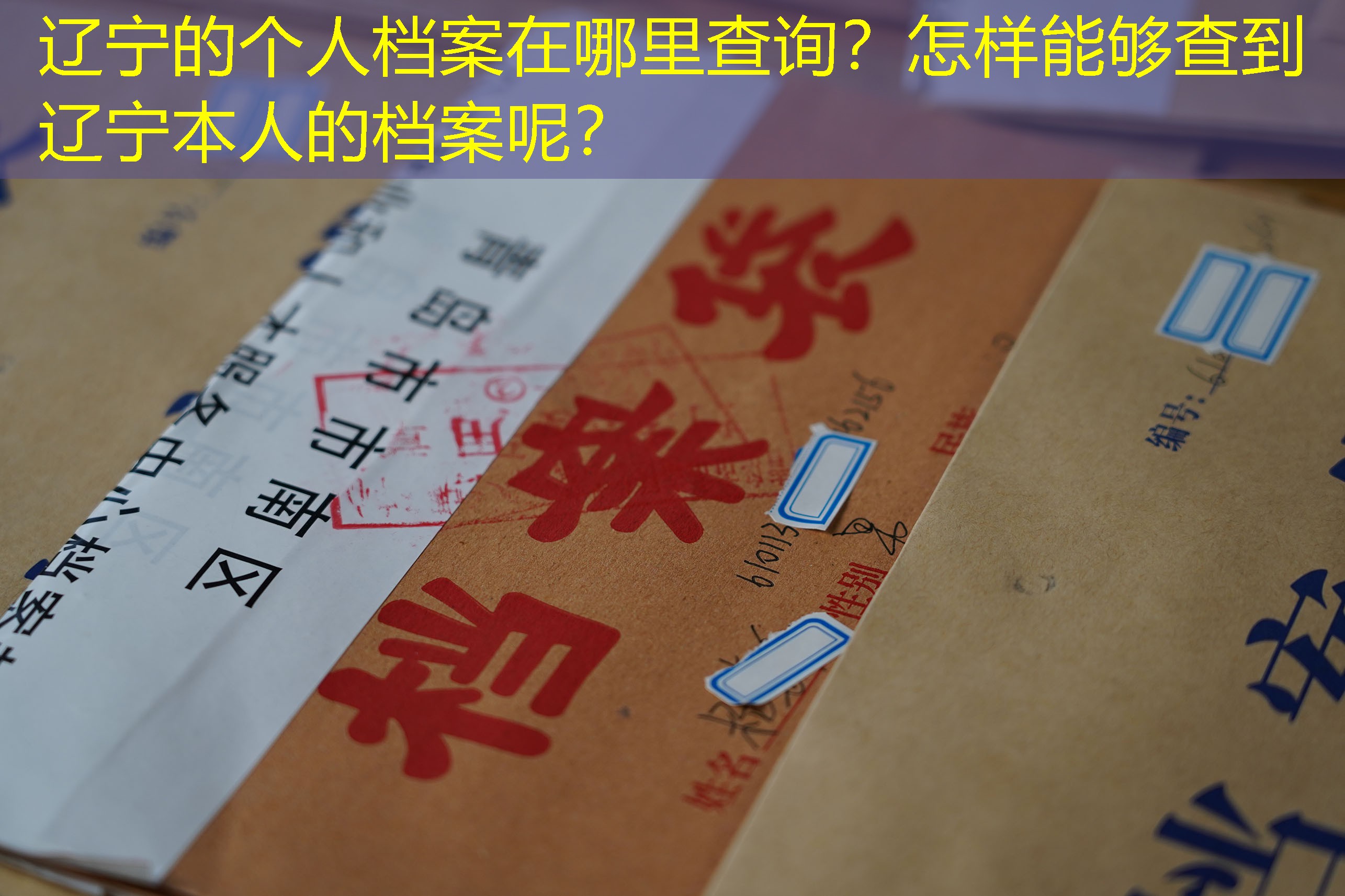 档案查询