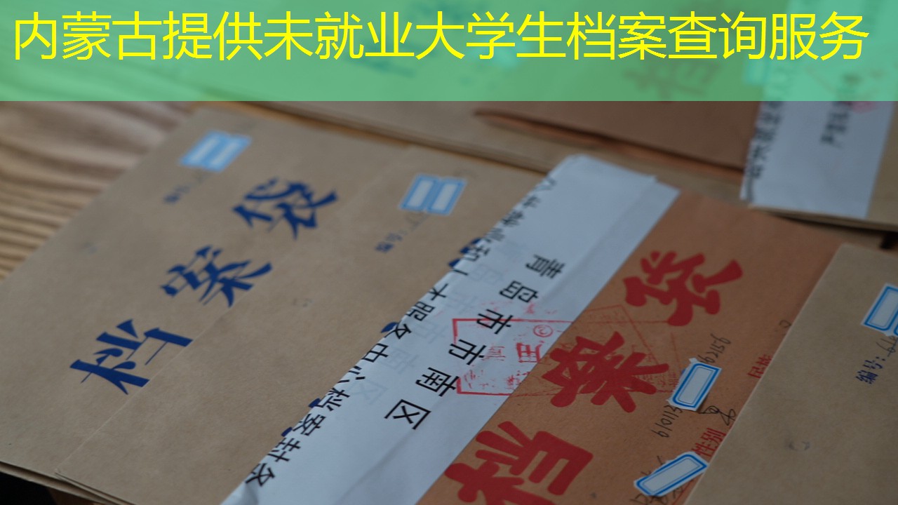 档案查询