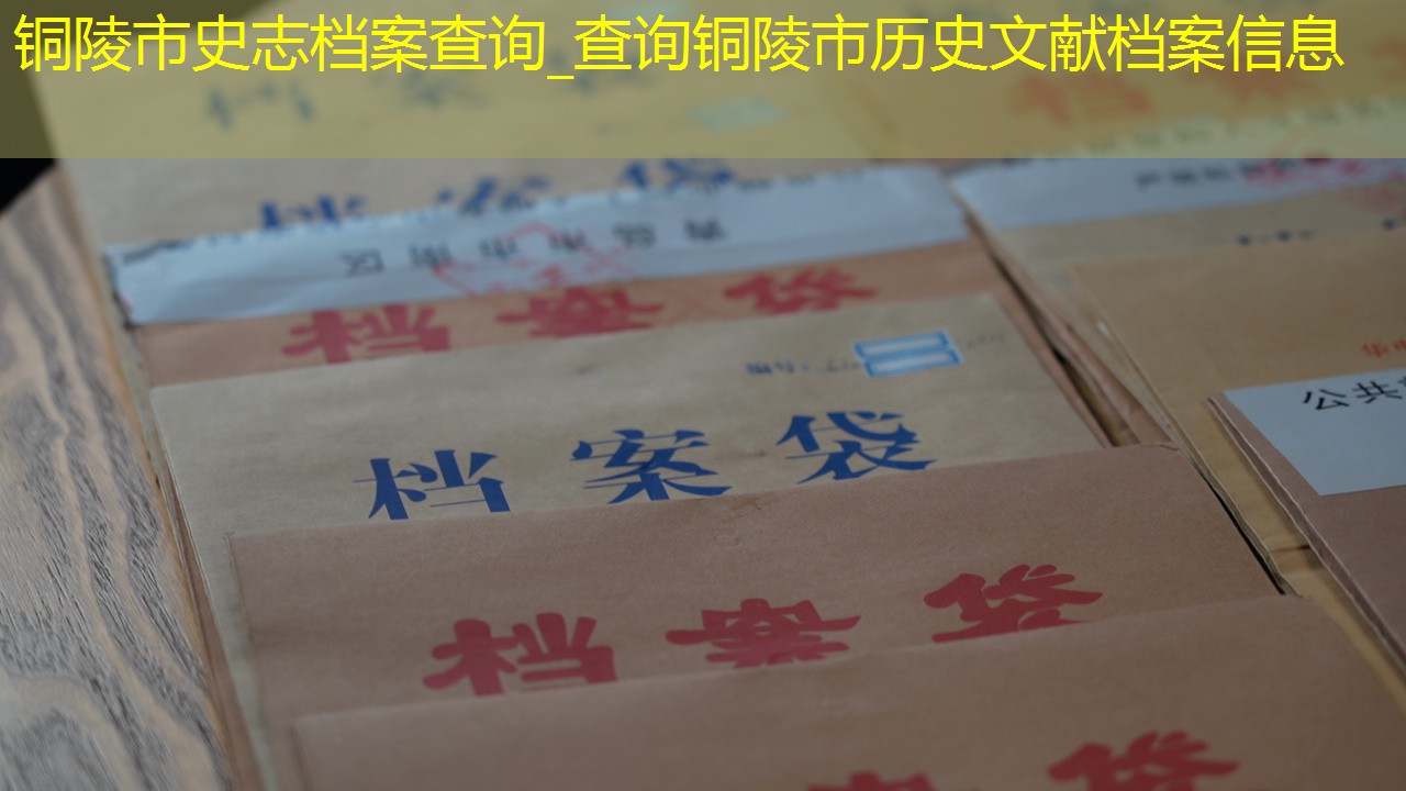 档案查询