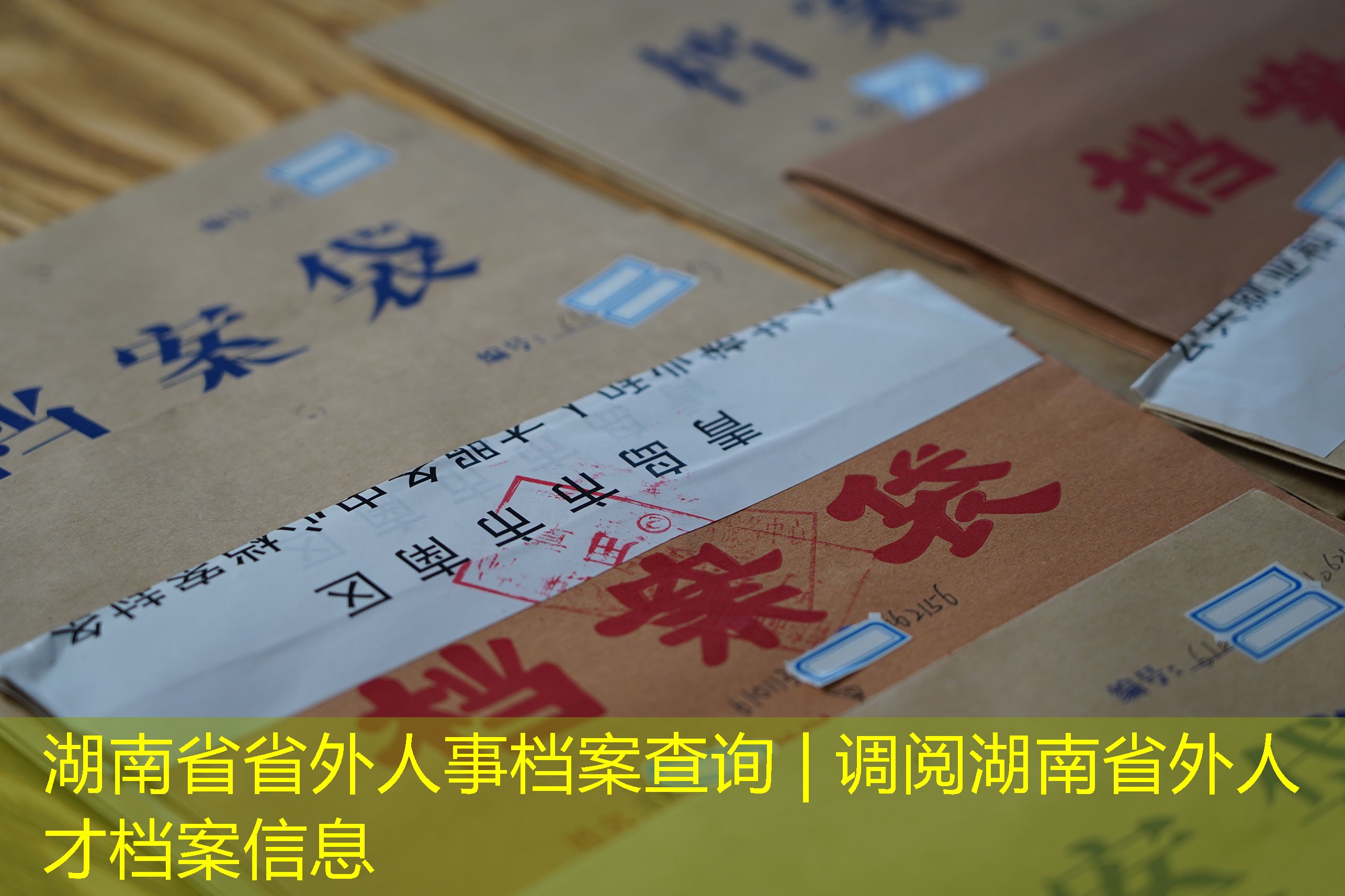 档案查询