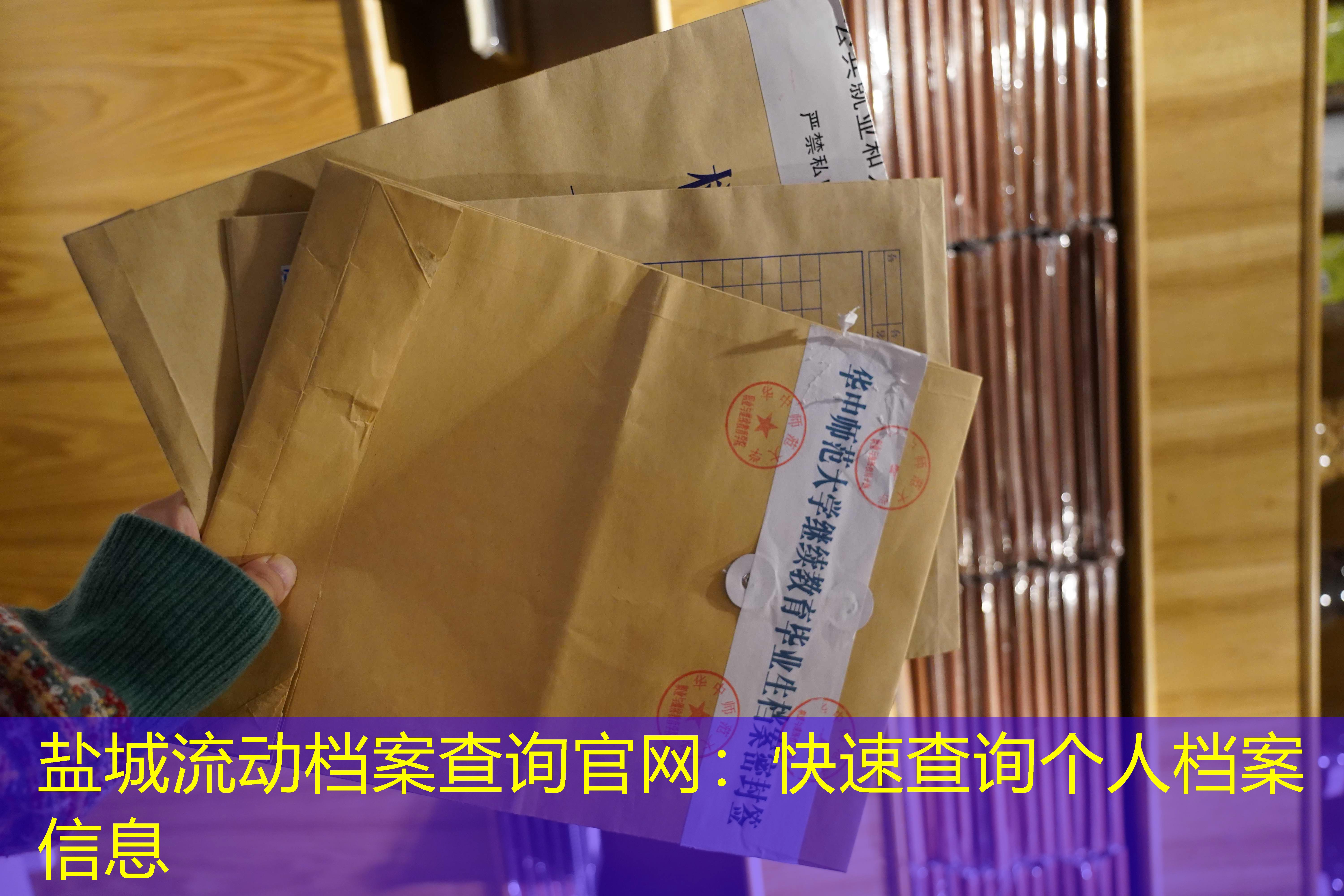 档案查询